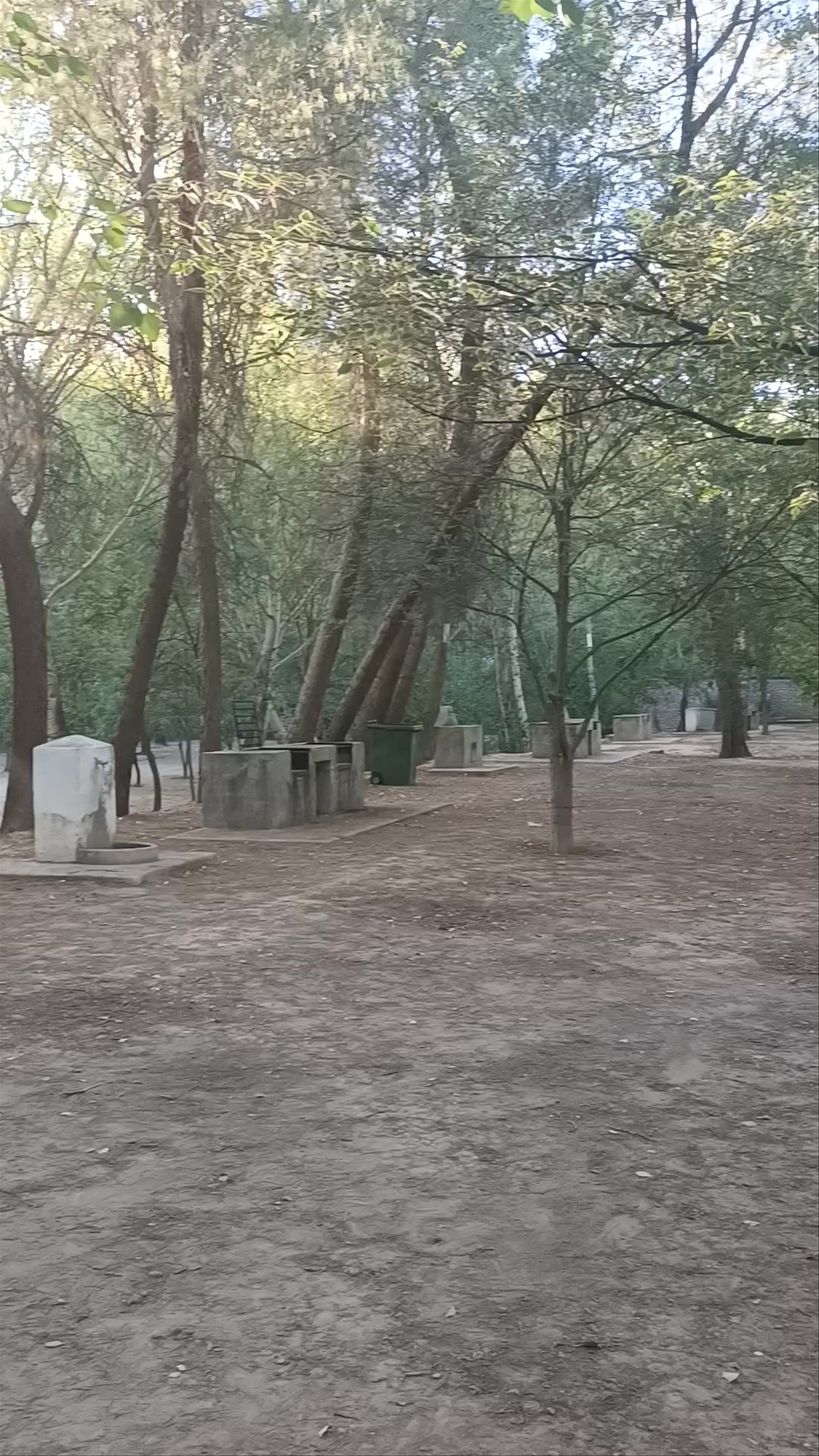 Sotos y Bosques de Ribera de Cañaverosa