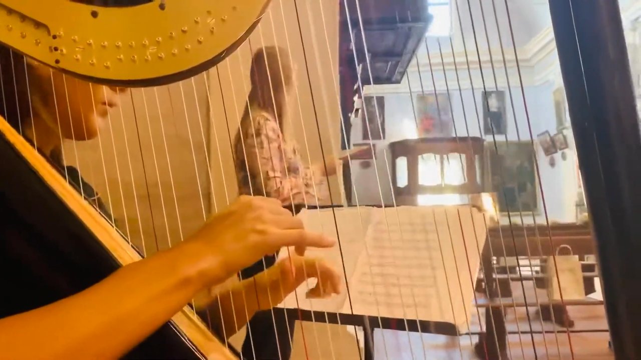 Sofi Harpist - Hallelujah by Leonard Cohen - video 3