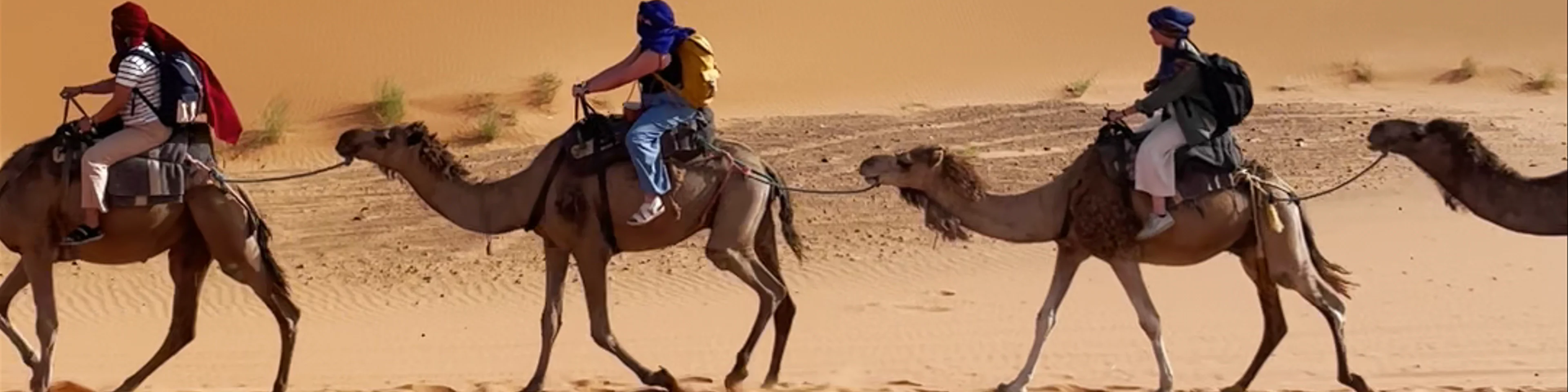 Erg Chebbi dunes