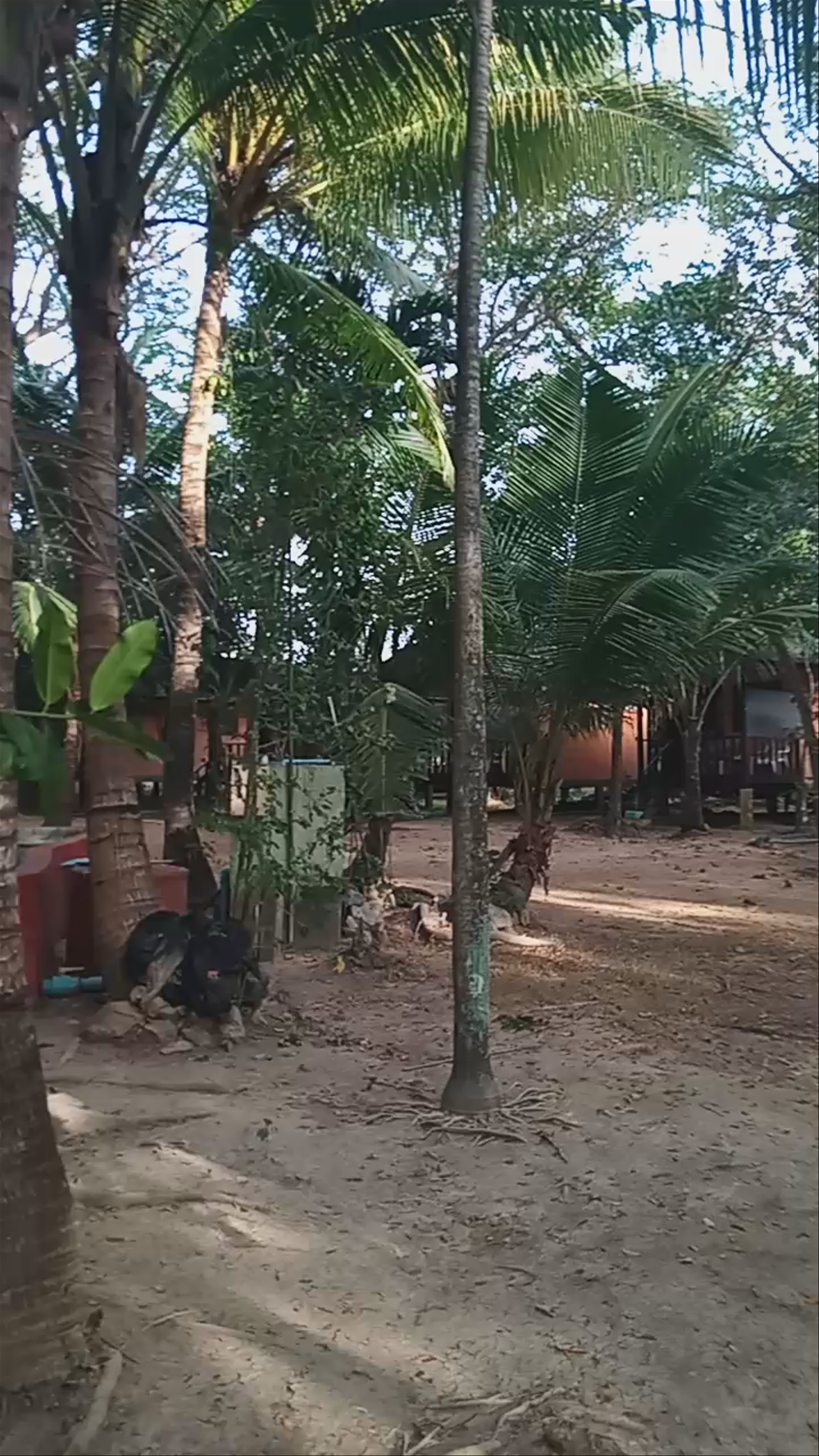 Moonhut Maenam