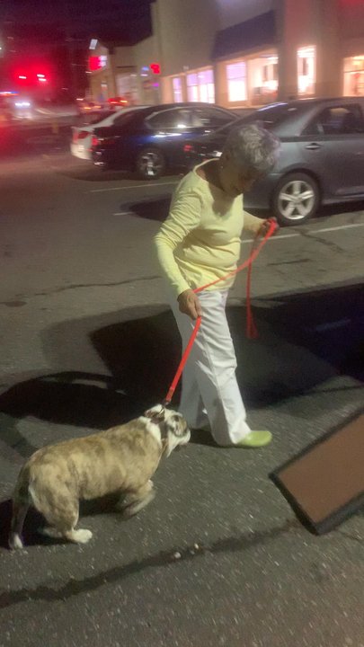 Whiskey K9 - 7 year old Rosie who was afraid of cars - Pet Training Near Me - Ansonia , Connecticut