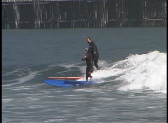 Numerous surfers catch and ride ocean waves along a beach, demonstrating various skills and maneuvers on their surfboards. The footage showcases the active coastal environment with multiple participants engaged in recreational surfing.