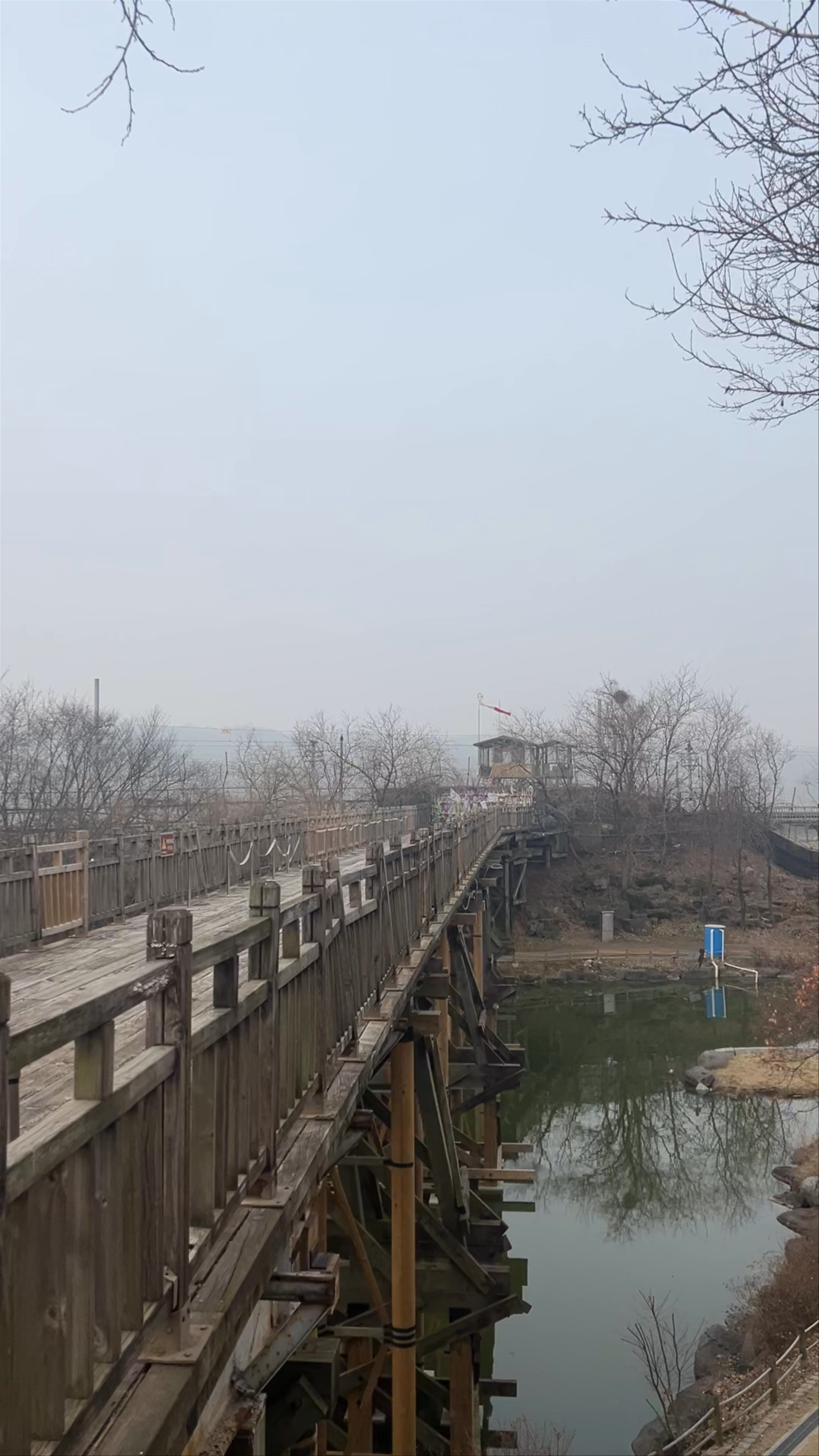 Bridge of Freedom