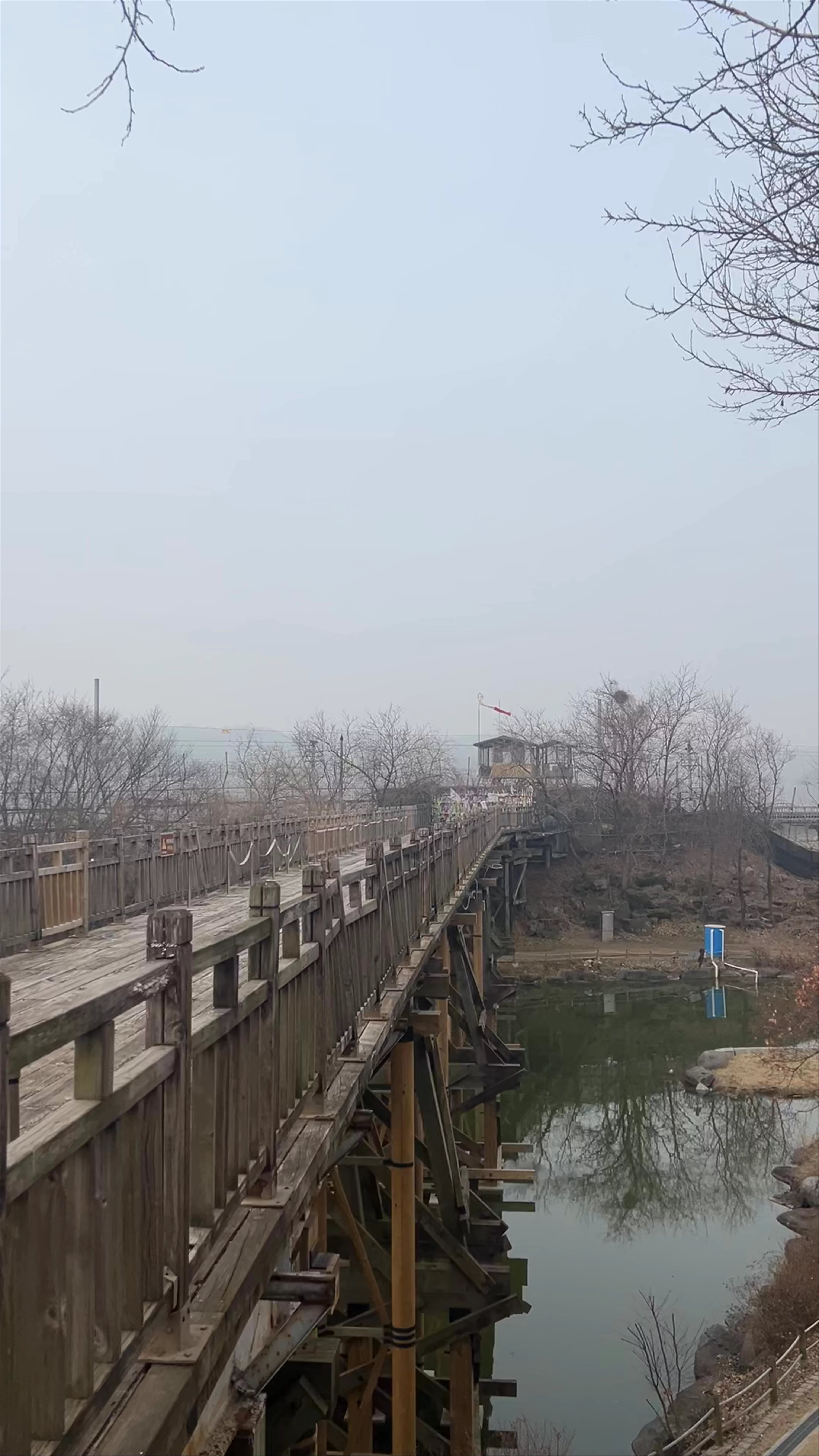 Bridge of Freedom