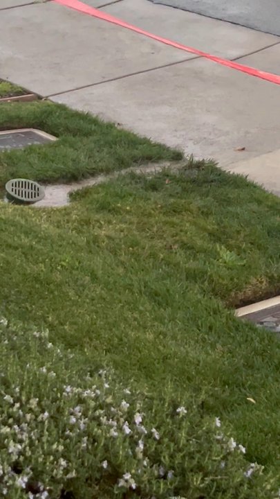Zoom Drain - Water runs out, all normal! - Plumbing Near Me - Sacramento, California