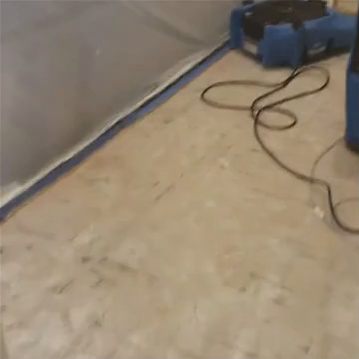 Service Pro Restoration - Damage Restoration Near Me