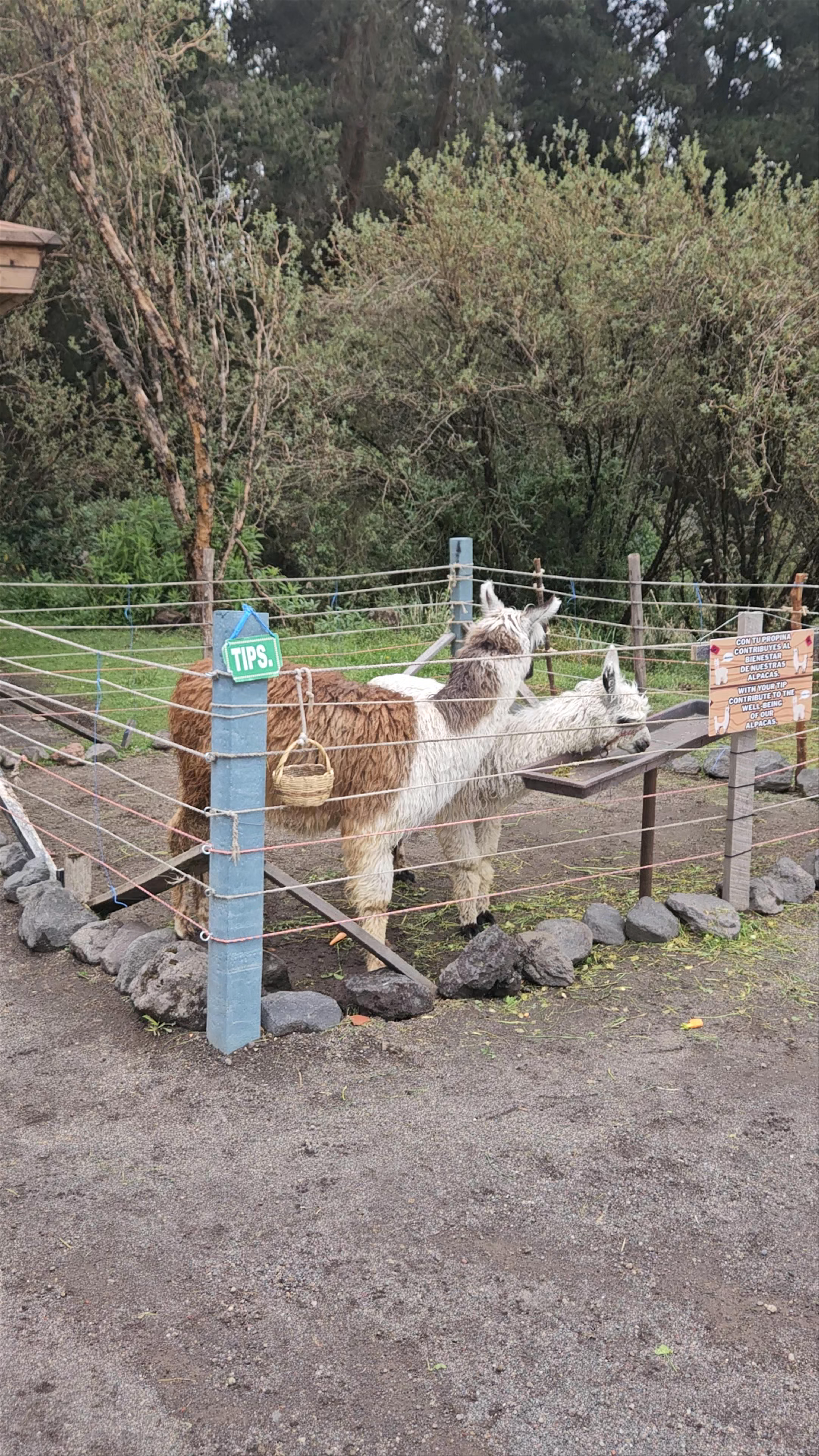 Centro de Interpretacion Parque Nacional Cotopaxi