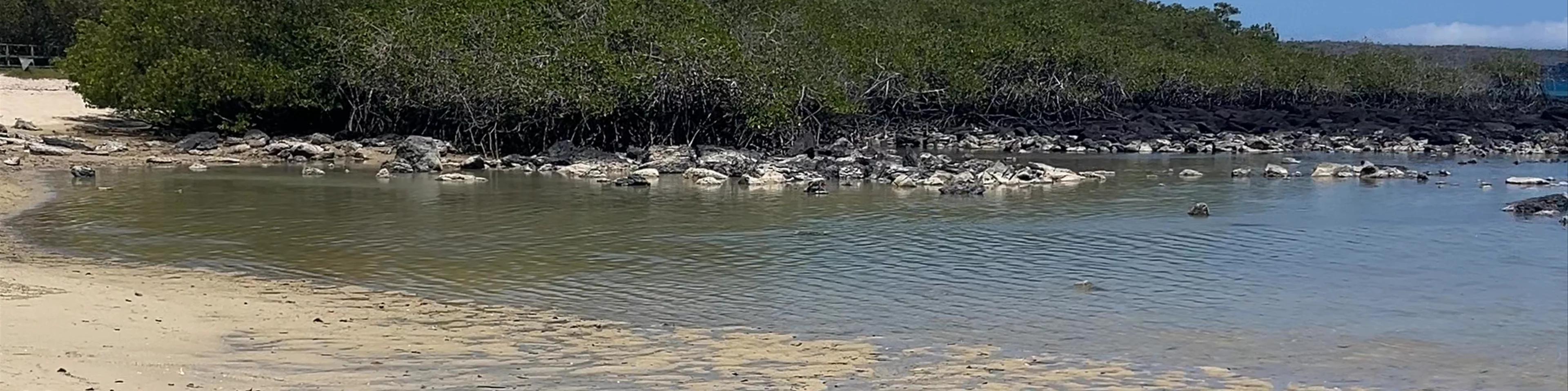 Playa los alemanes