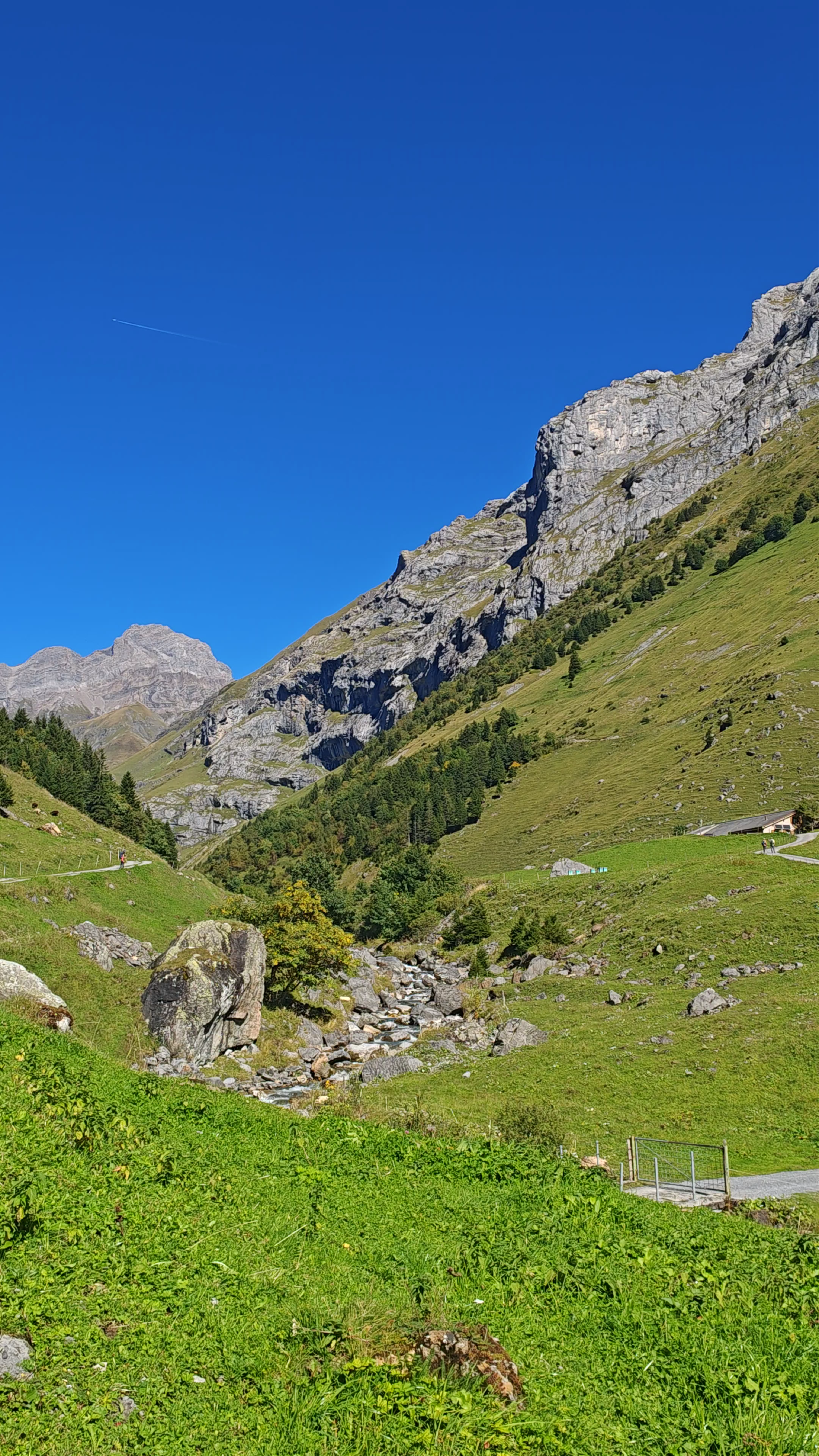 Berggasthaus Stäfelialp