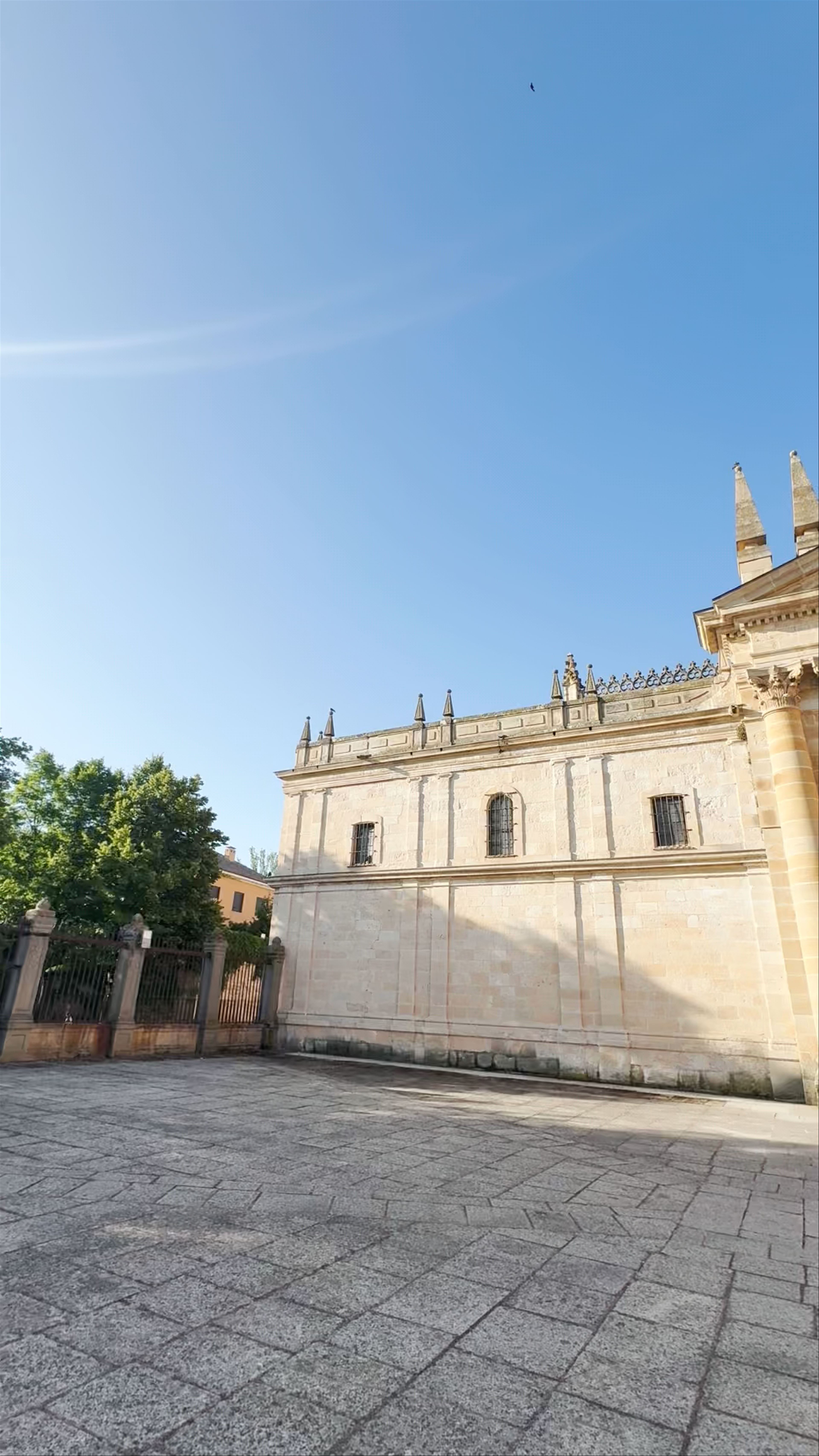 Catedral del Salvador de Zamora