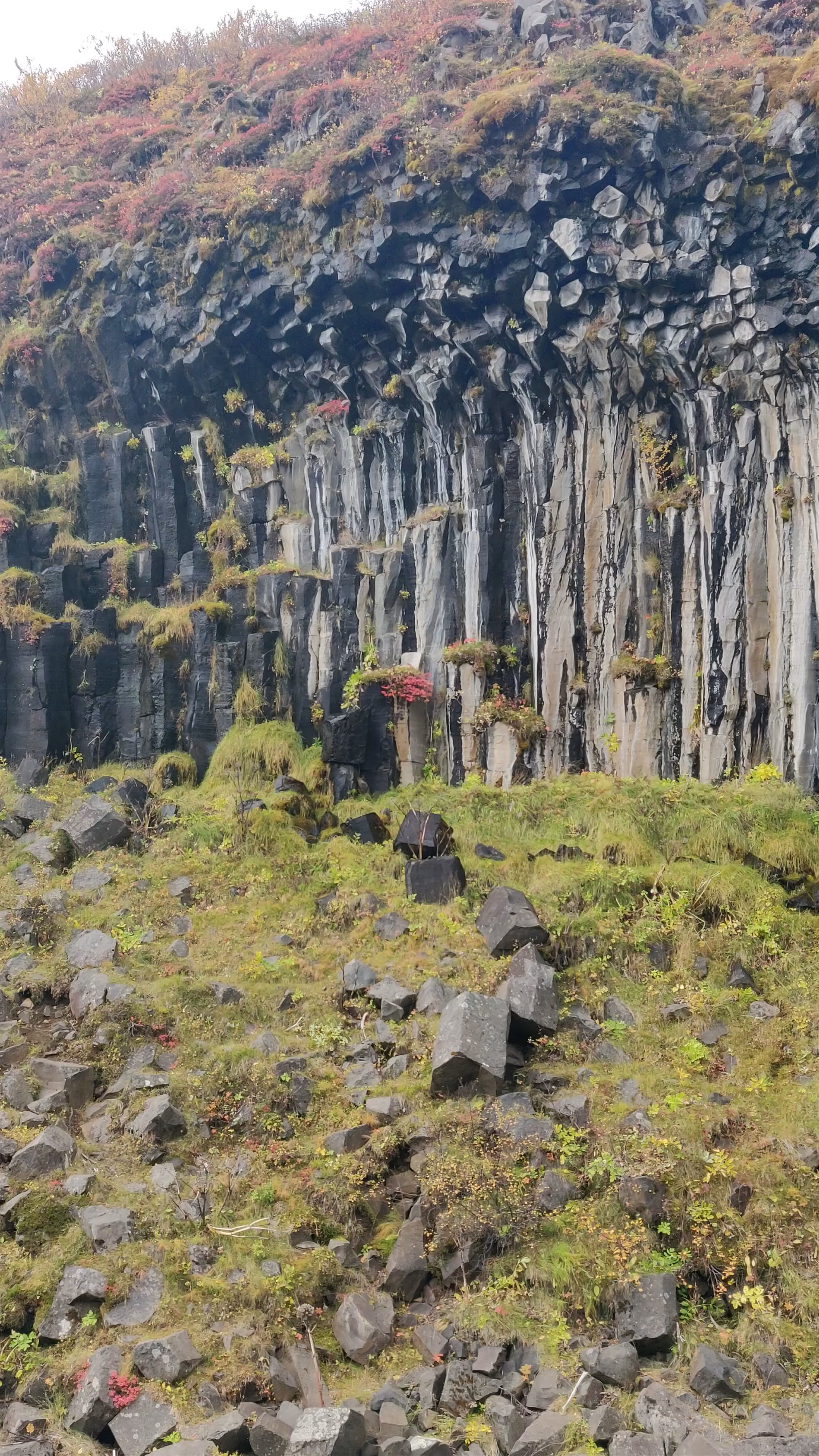 Svartifoss Waterfall: The Majestic Black Falls of Iceland