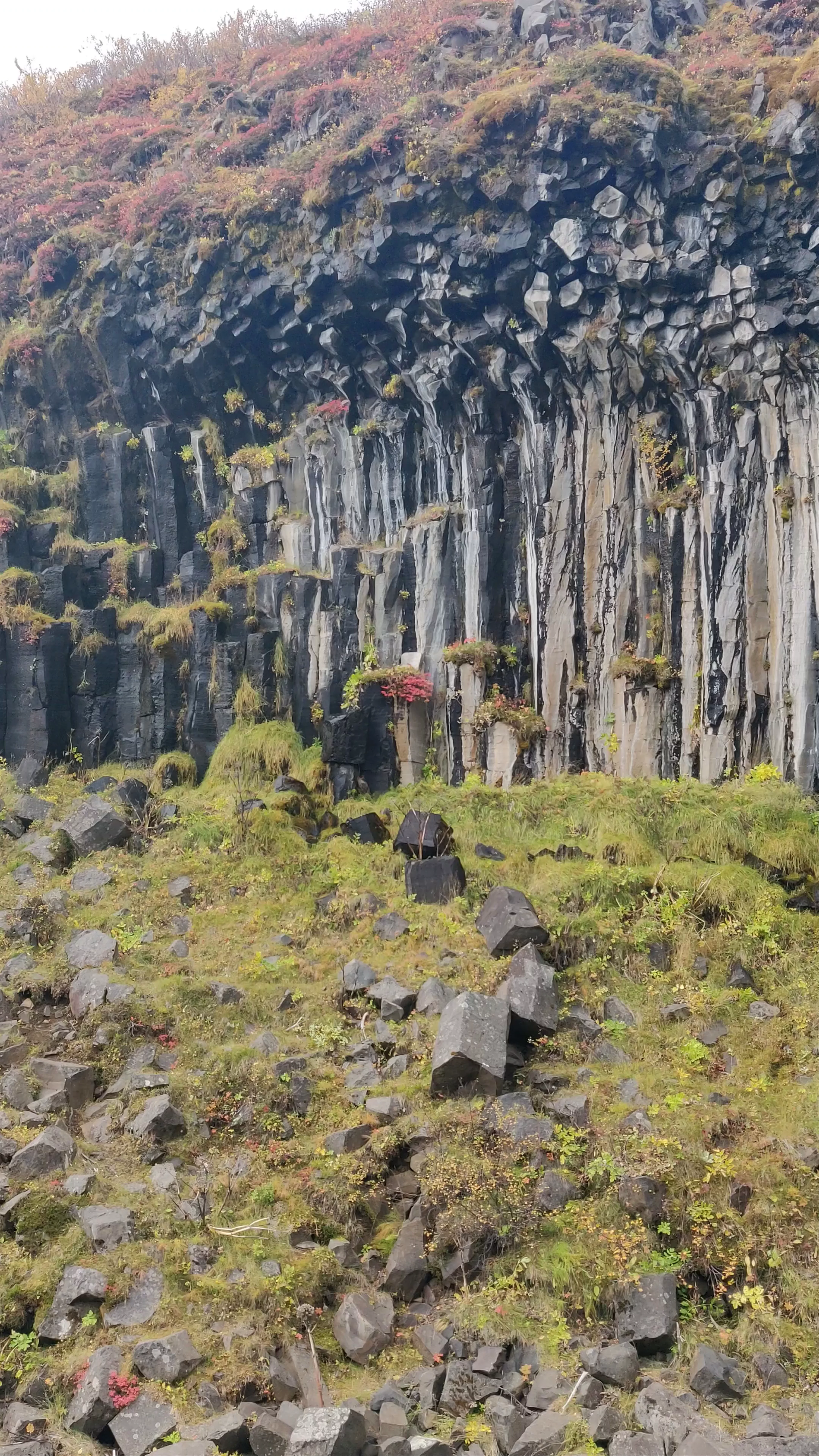 Svartifoss