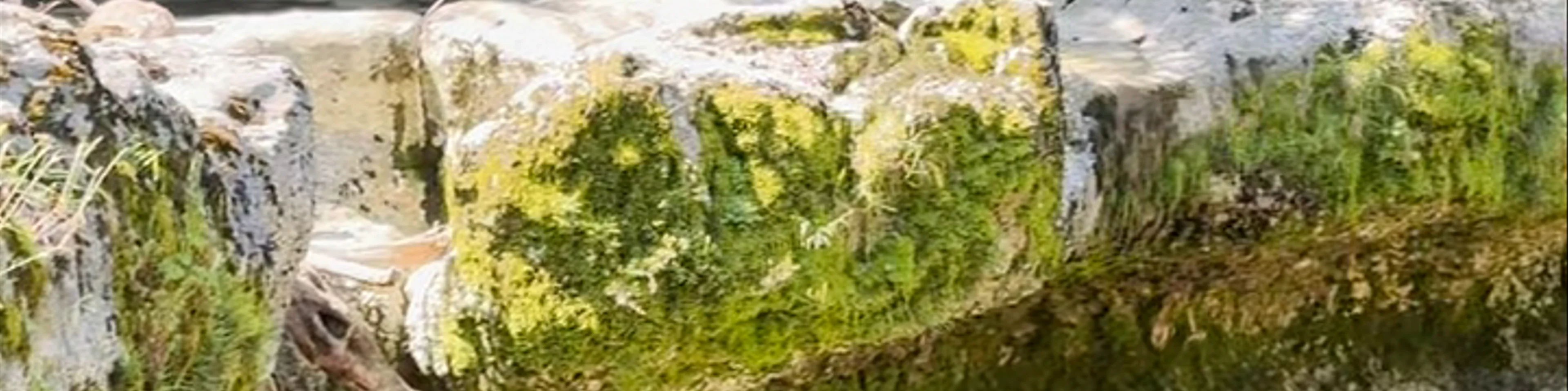 Abhesi Waterfall