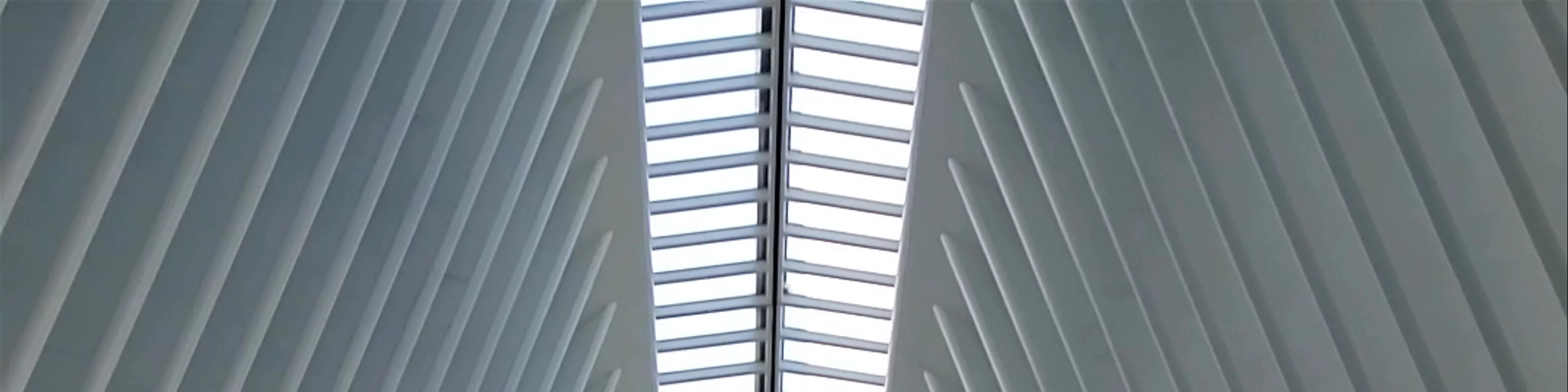 The Oculus