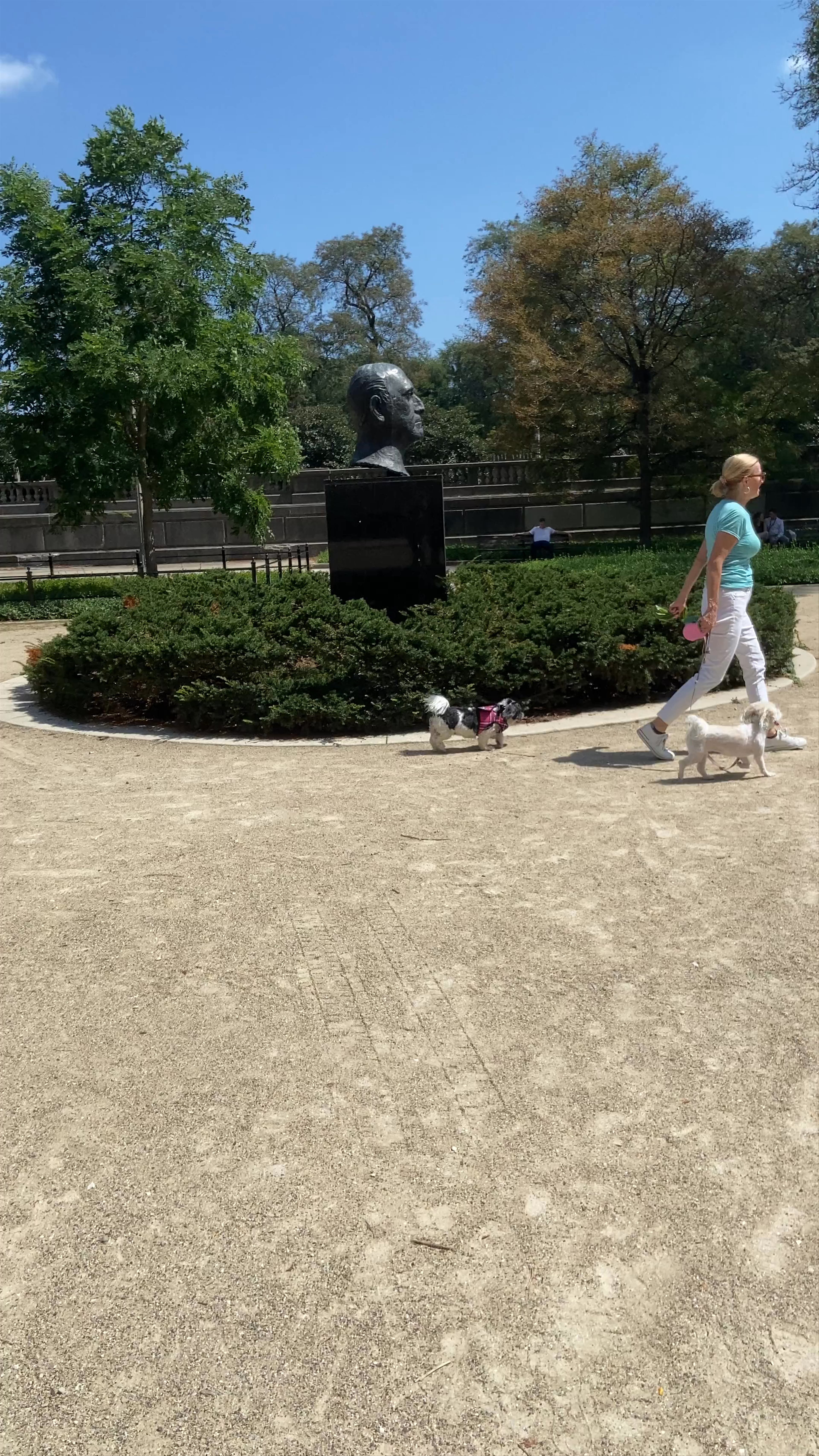 Sir Georg Solti Garden: A Serene Urban Escape in Chicago