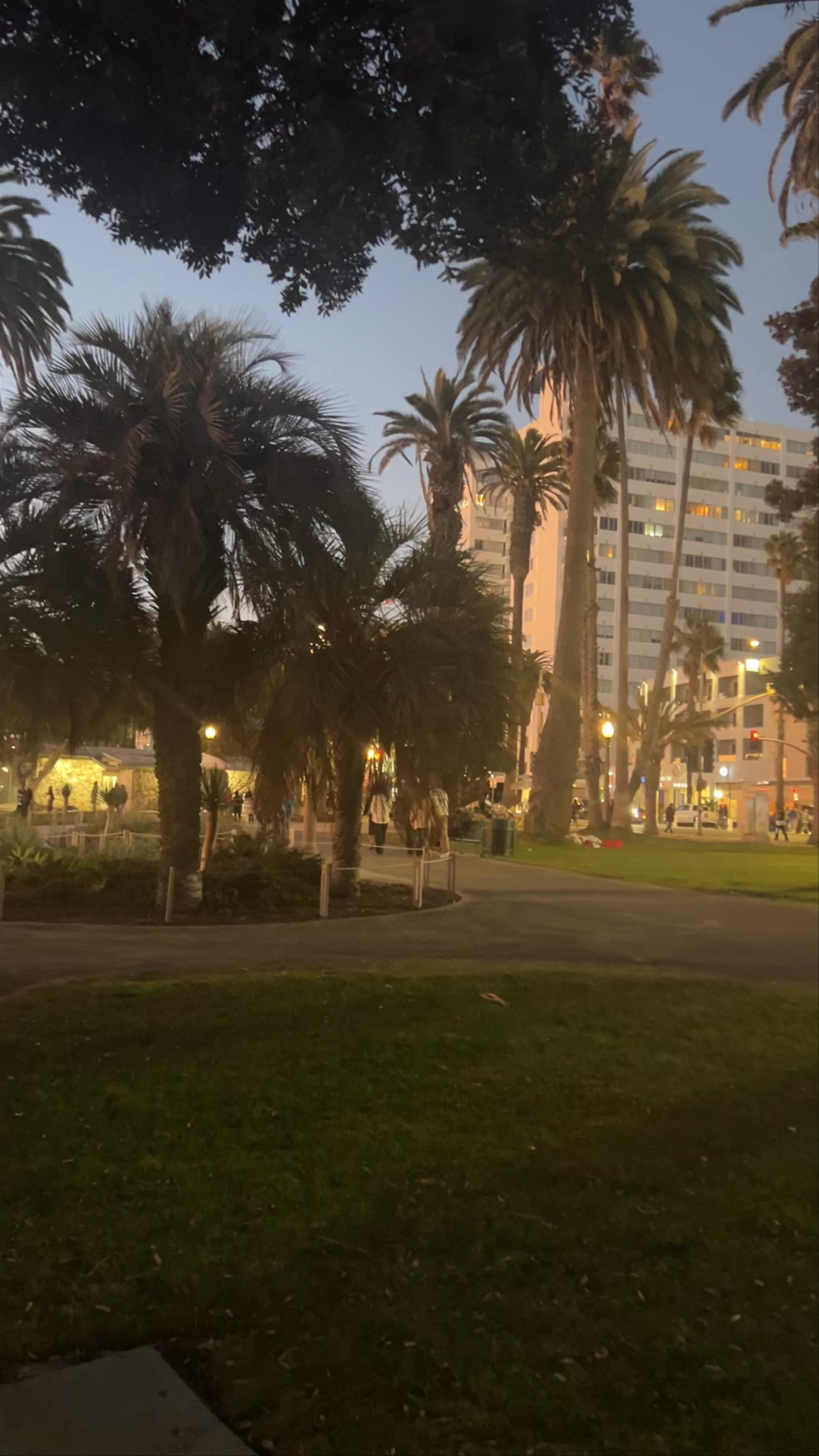 Magical Sunset at Palisades Park, Santa Monica