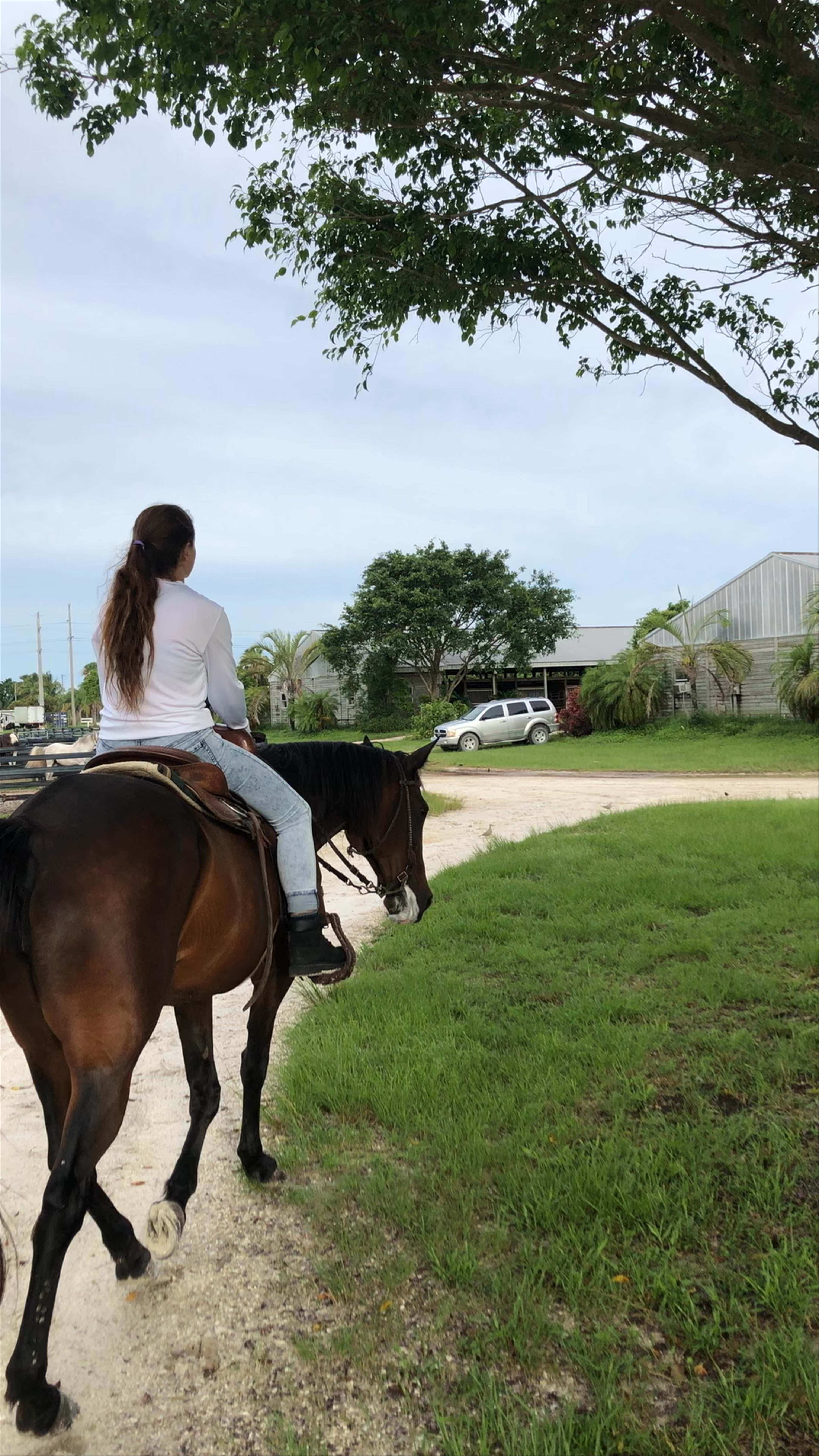 Golden Gait Riding Stables