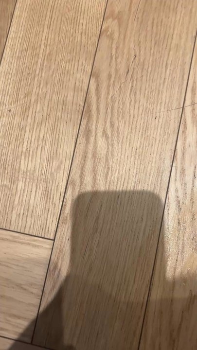 Brooklyn Cleaning Services - Apparently this is what the apartment is to look like after they claimed they mopped. - Home Cleaning Near Me - Brooklyn, New York