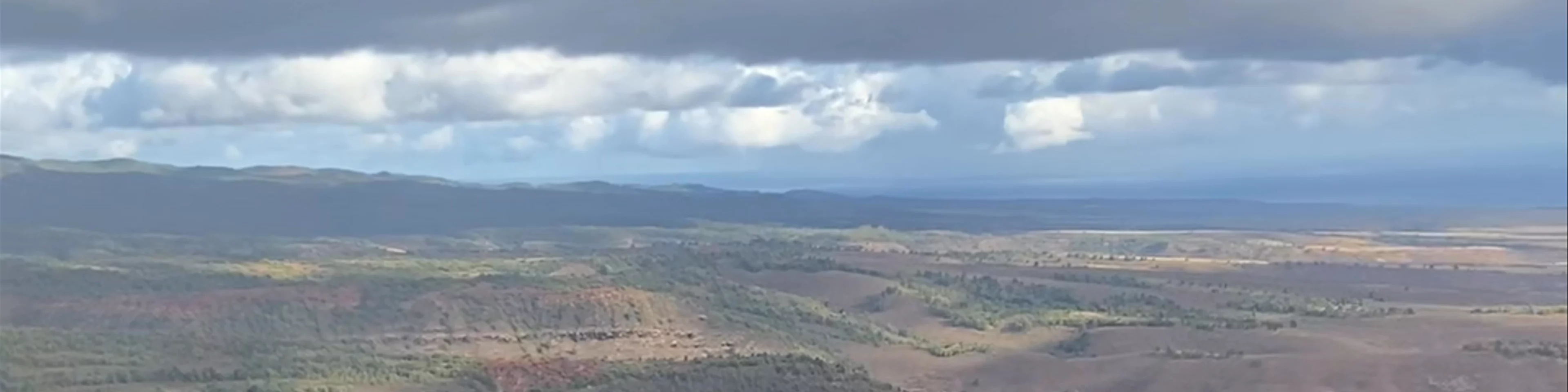 Waimea Canyon State Park