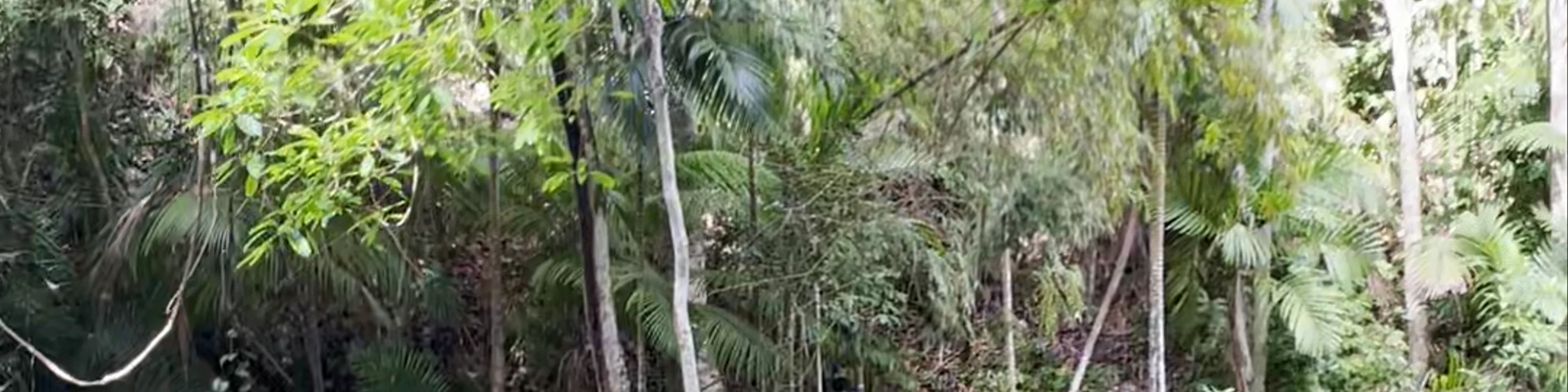 Lagaan Falls