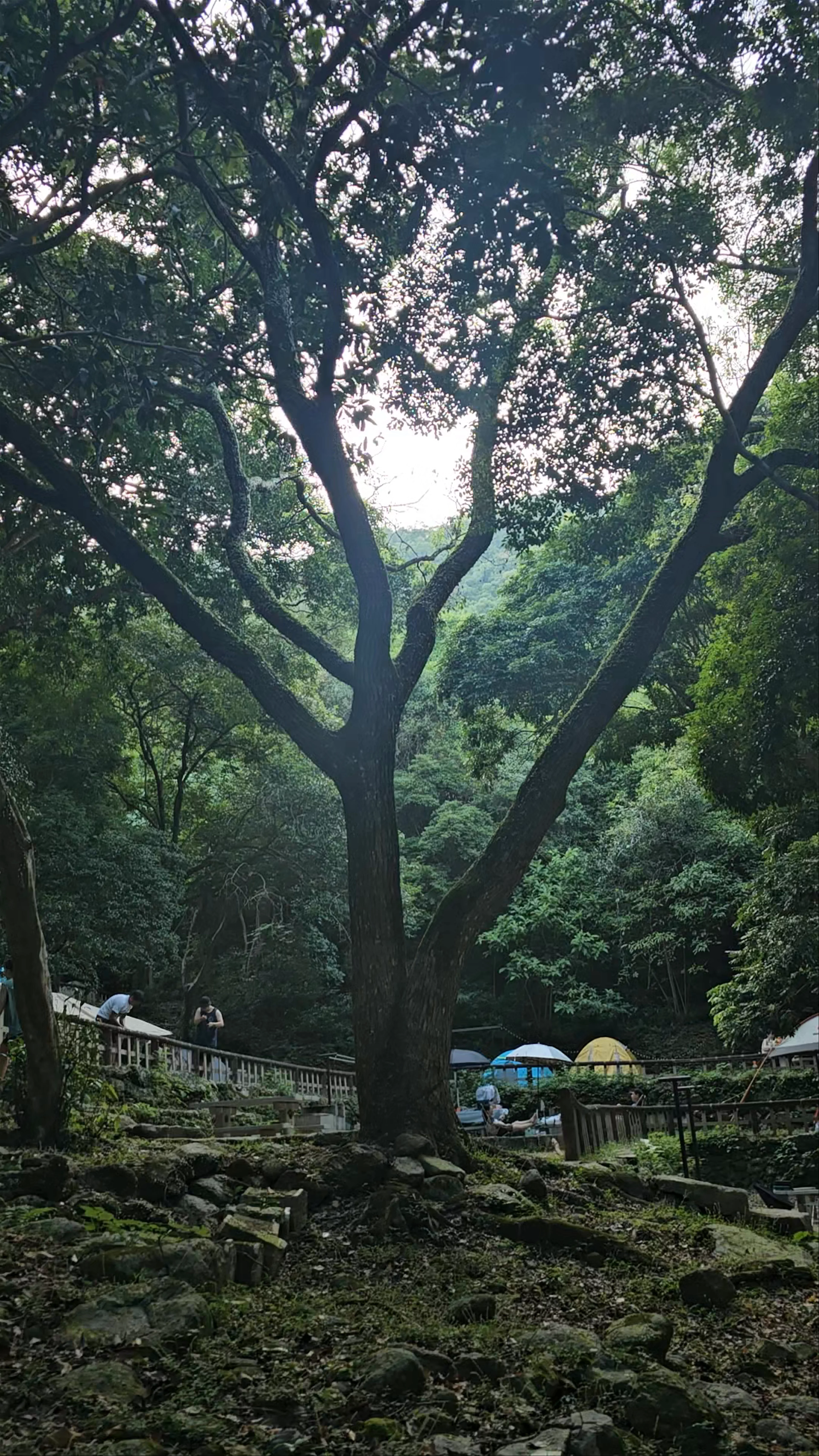 Chung Pui Campsite, Pat Sin Leng