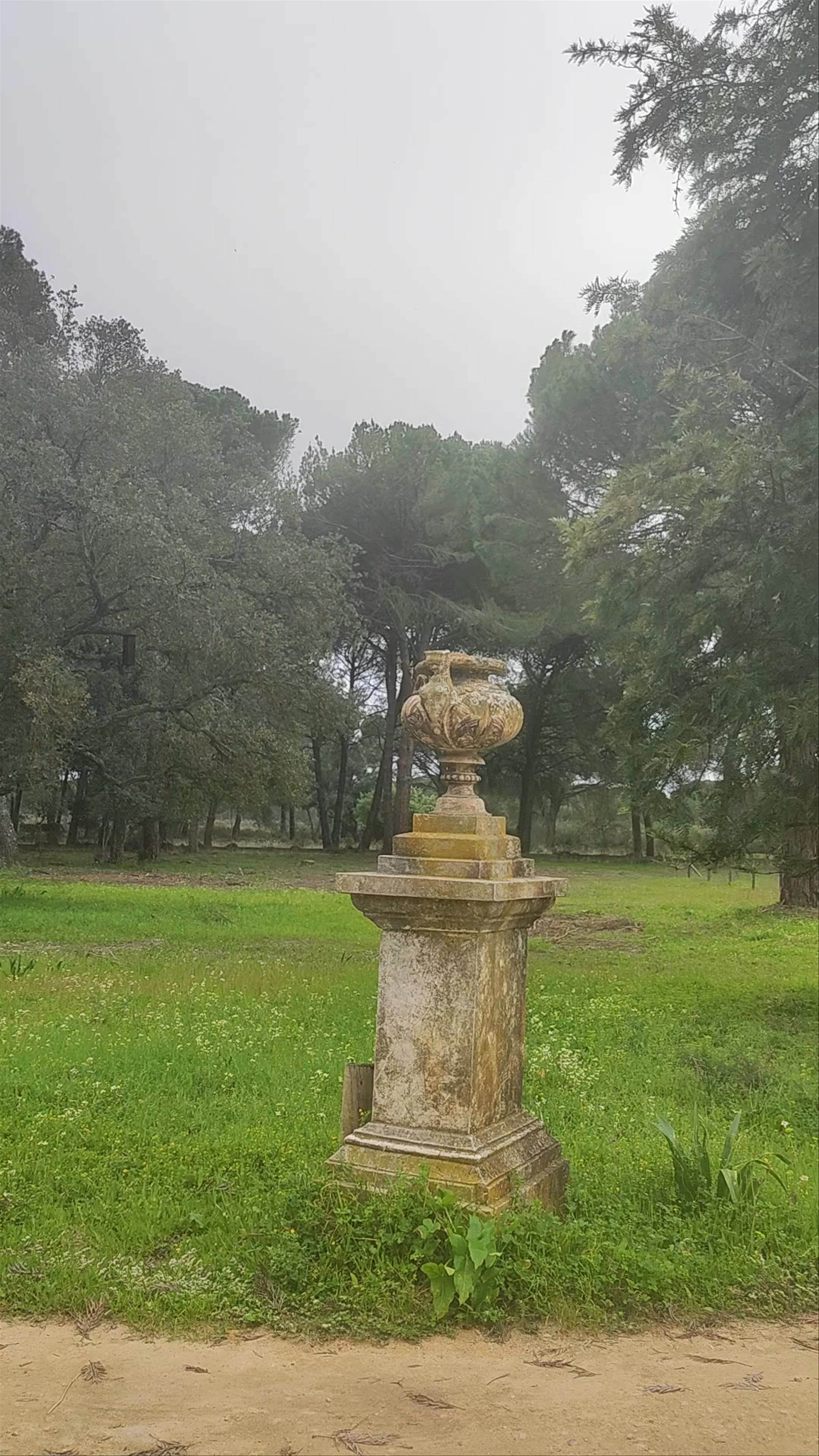 Palacio del Acebrón: A Timeless Spanish Estate in Almonte, Andalucía