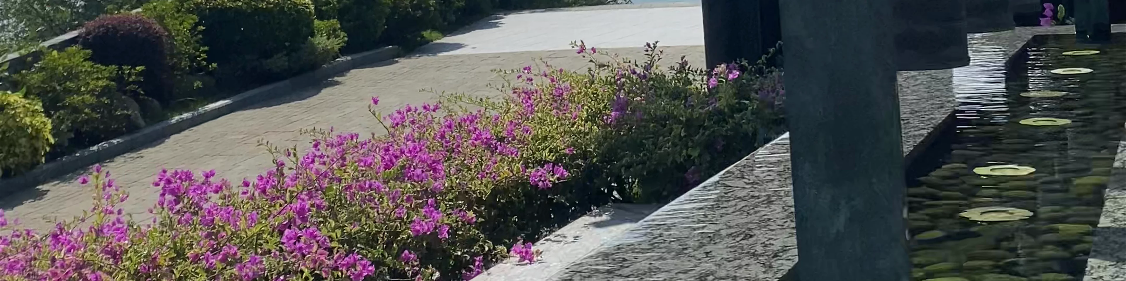 Joyful Terrace
