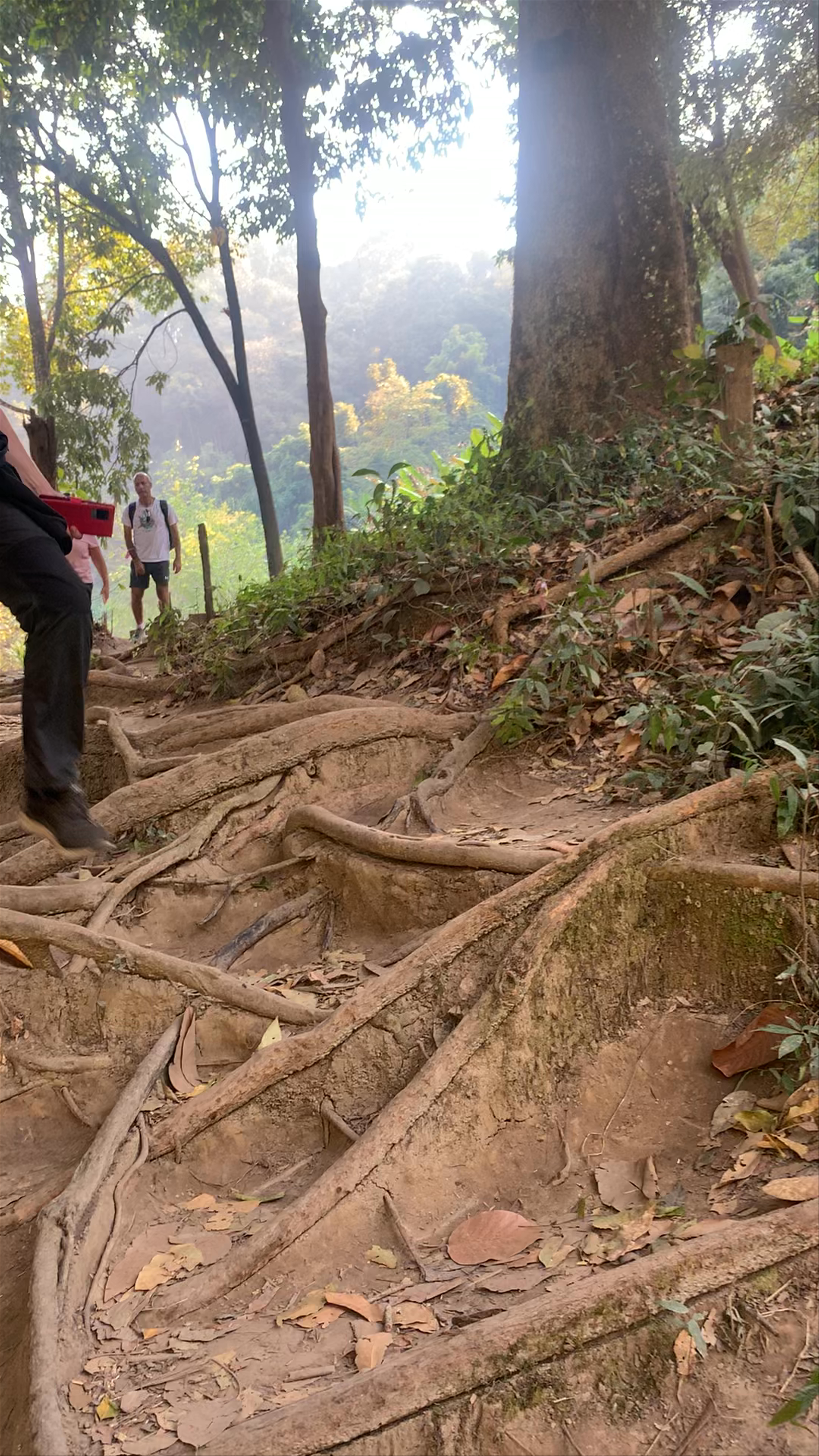 Wachirathan Waterfall Adventure: Nature’s Untamed Beauty in Chiang Mai