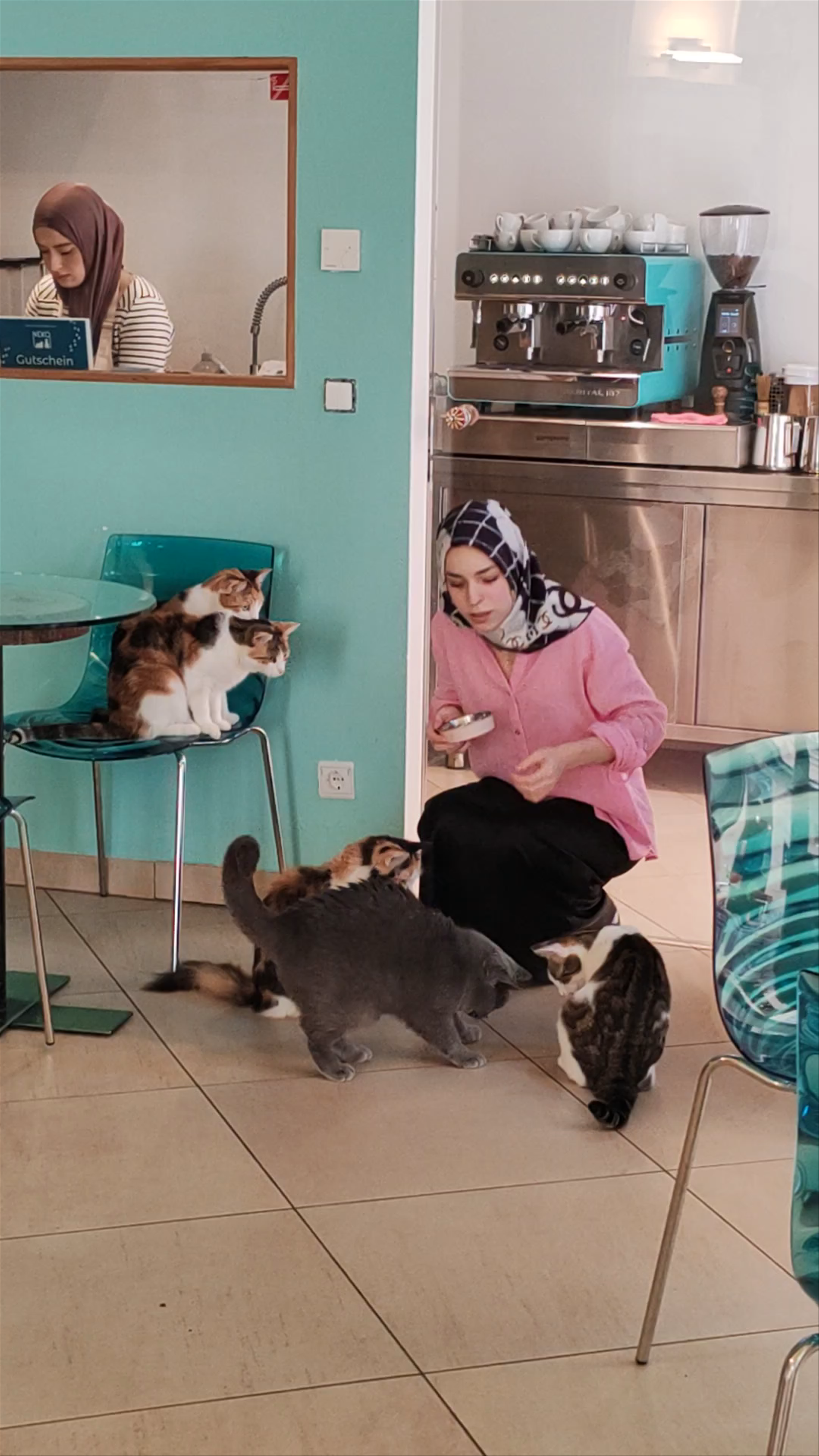 Cafe - Neko Wien