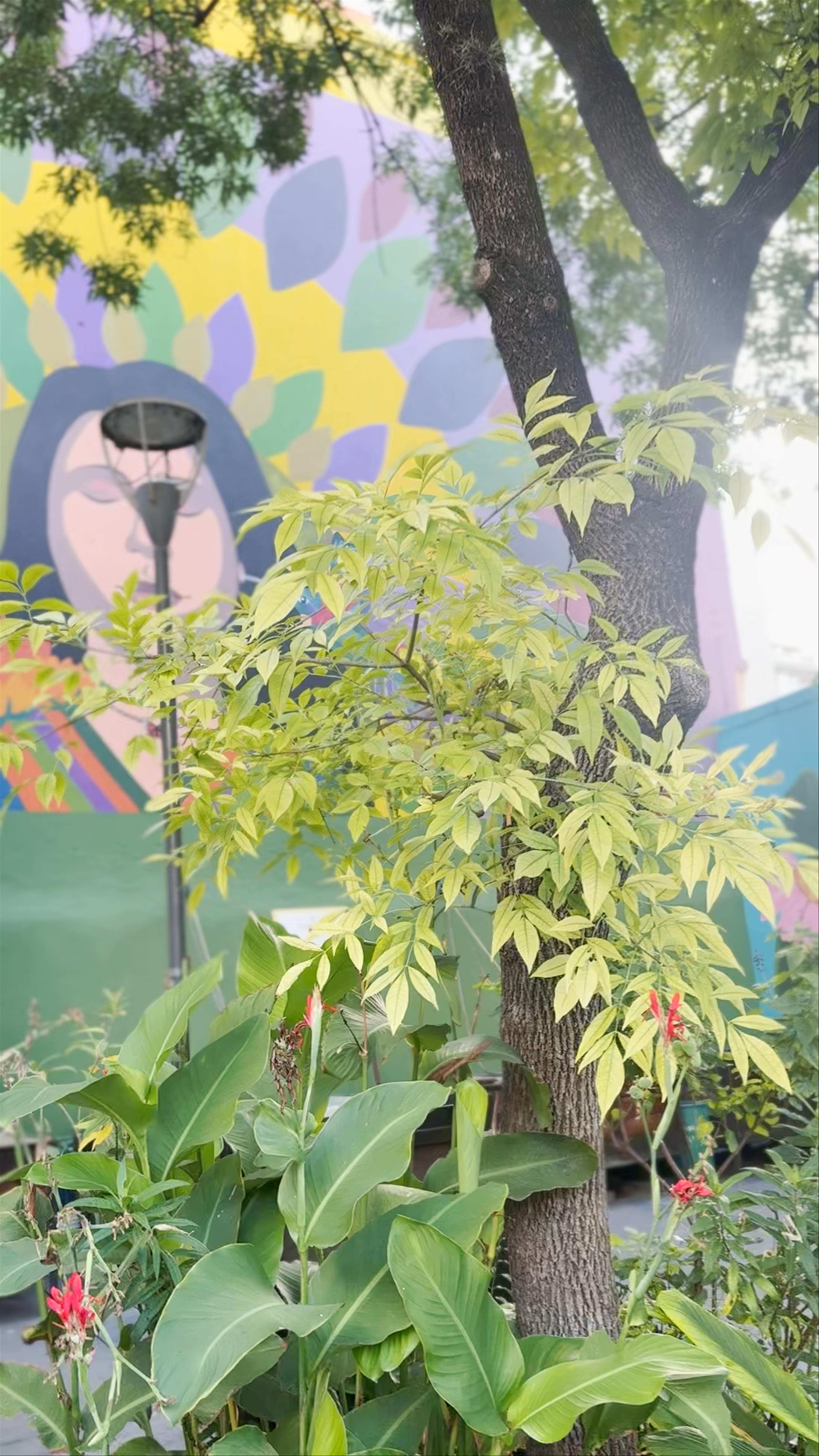 Plazoleta Luna de Enfrente