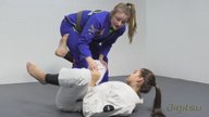 Knee Slice Concepts