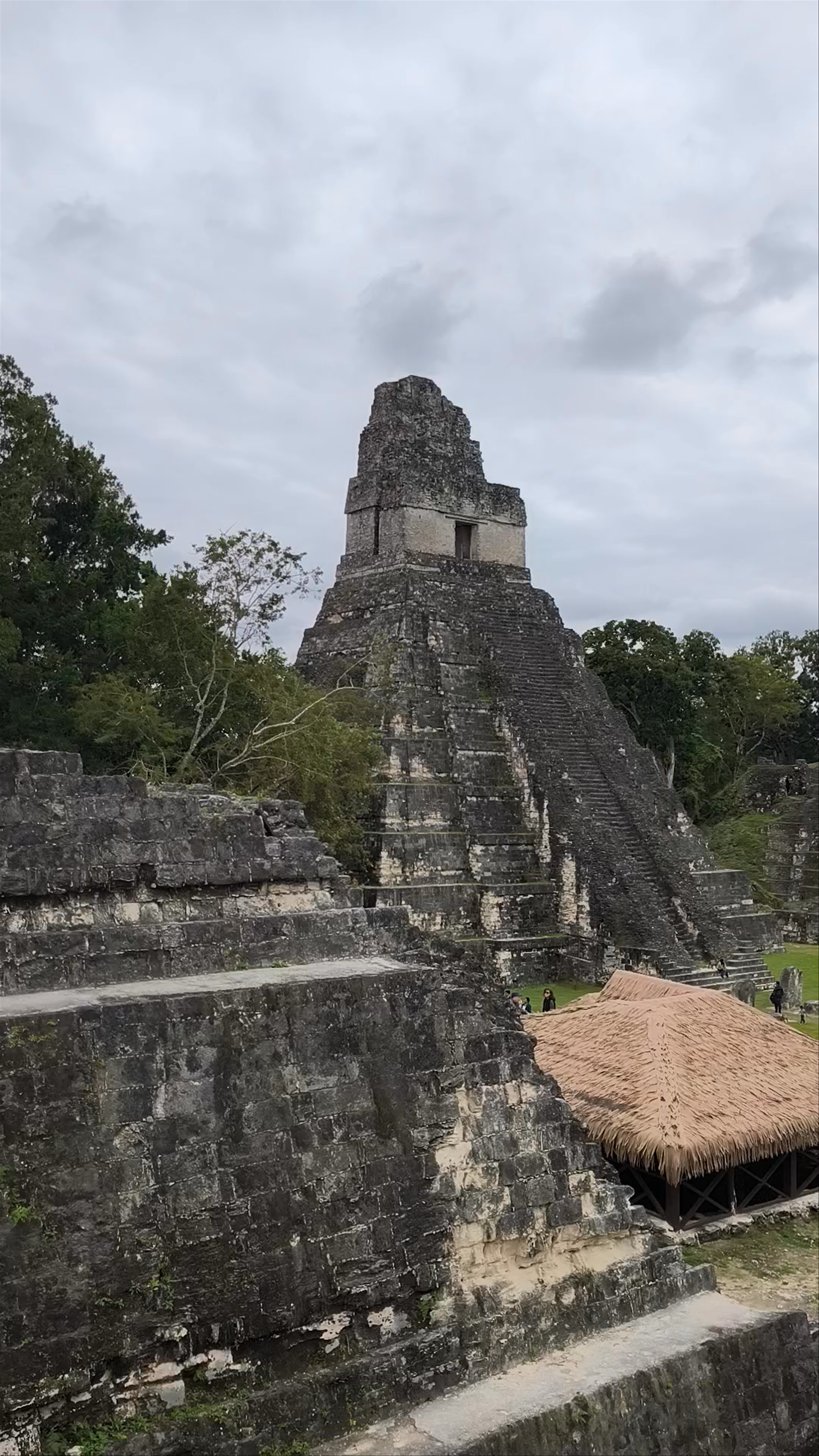 Tikal peten