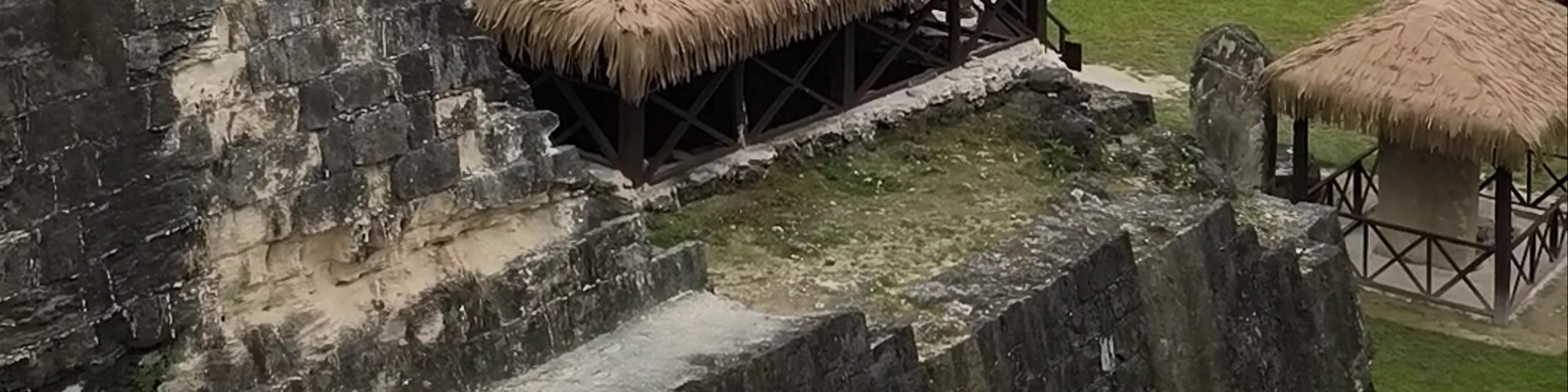 Tikal peten