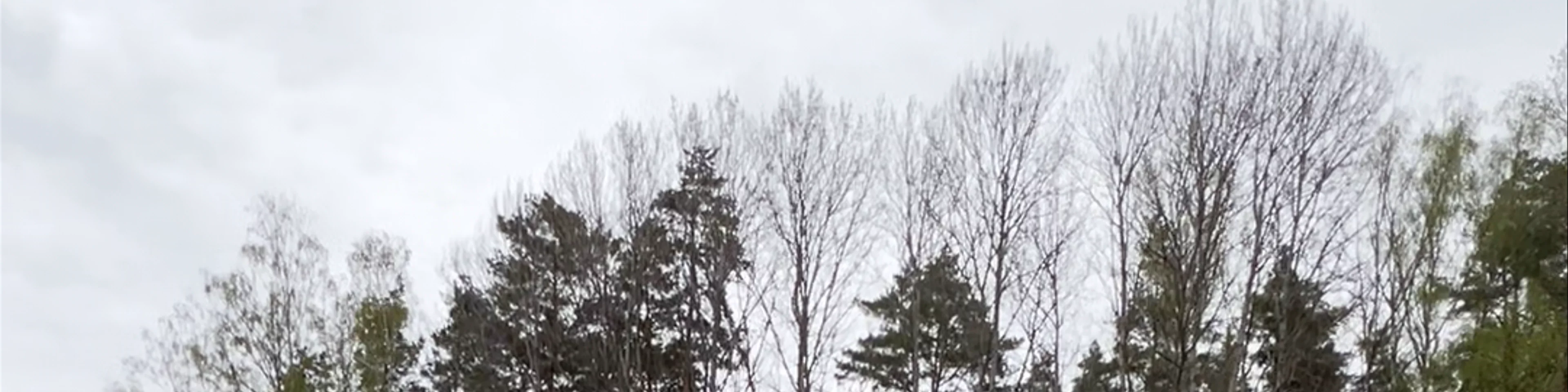 Tērvete Nature Park