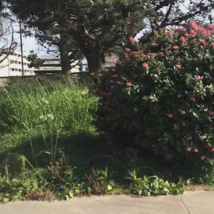 US Post Office - Drive By Mailing - Post Offices Near Me - San Bruno, California