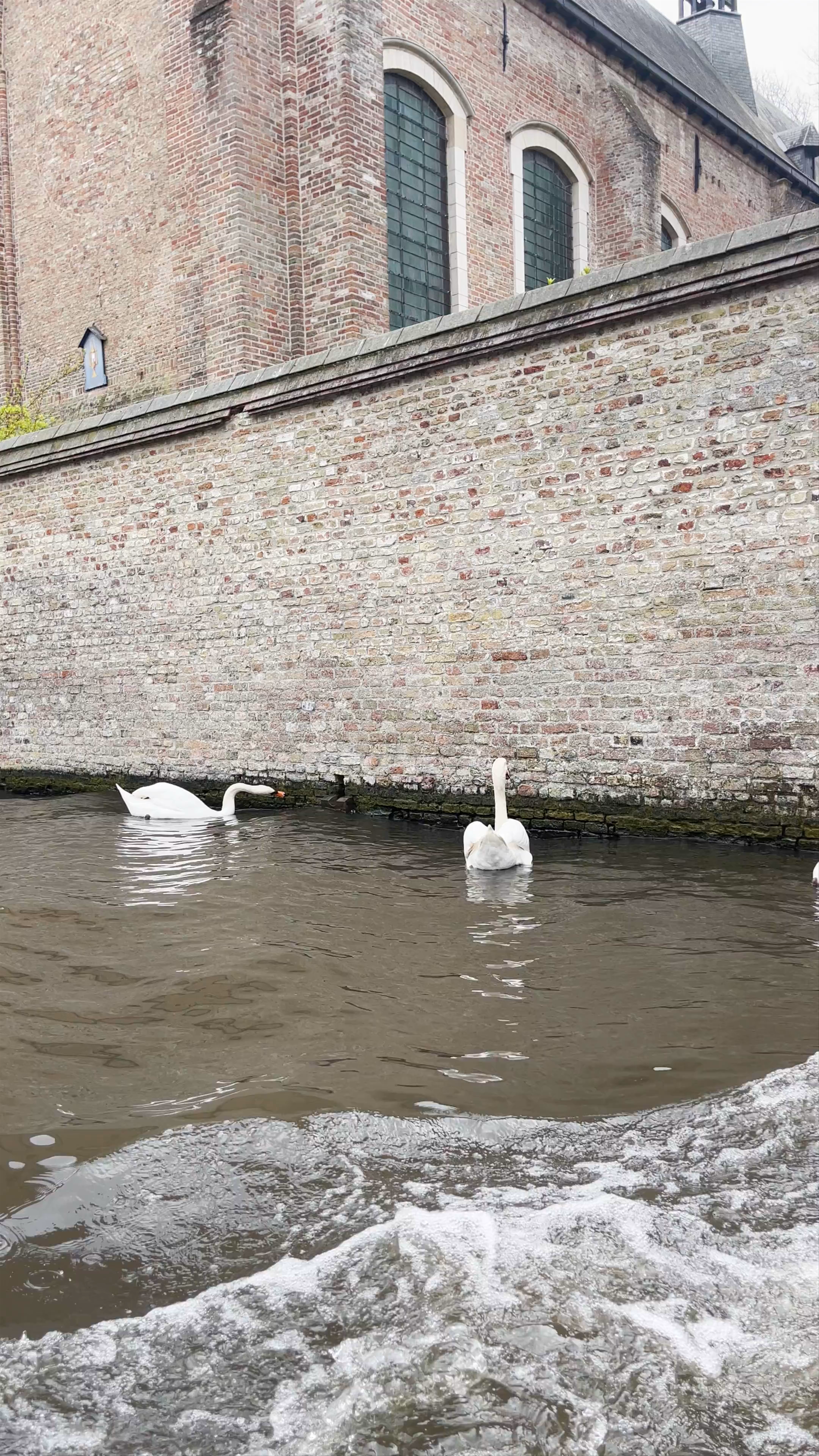 Boattour Bruges