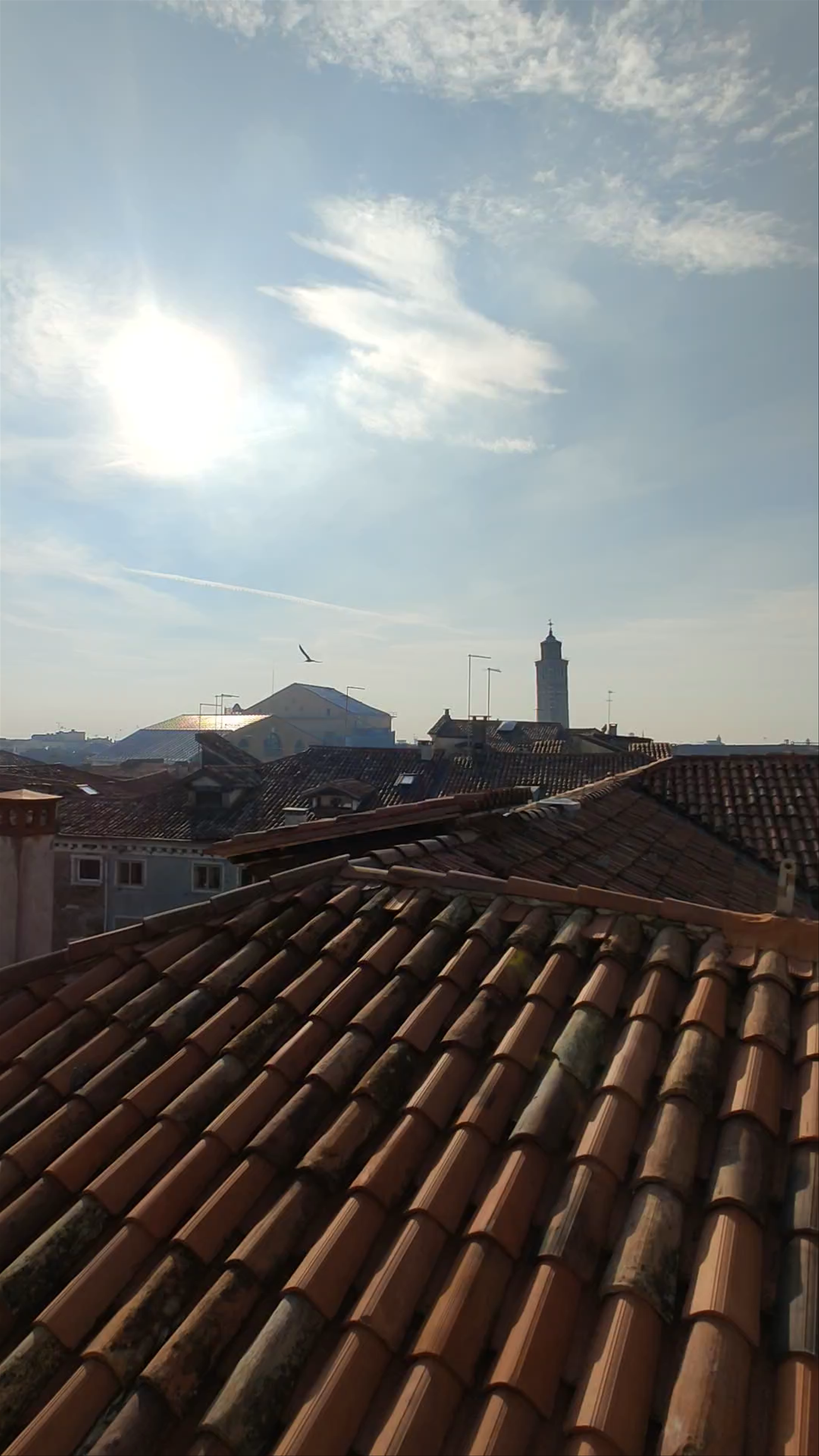 Scala Contarini del Bovolo