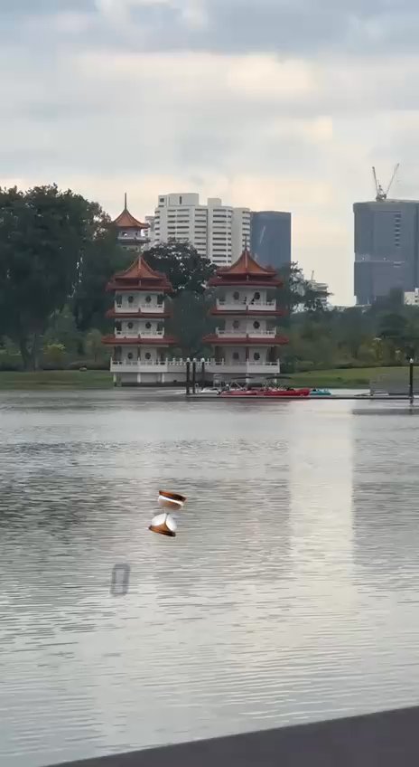 3+1 Bed Condo for Sale in  The LakeGarden Residences - Image 9