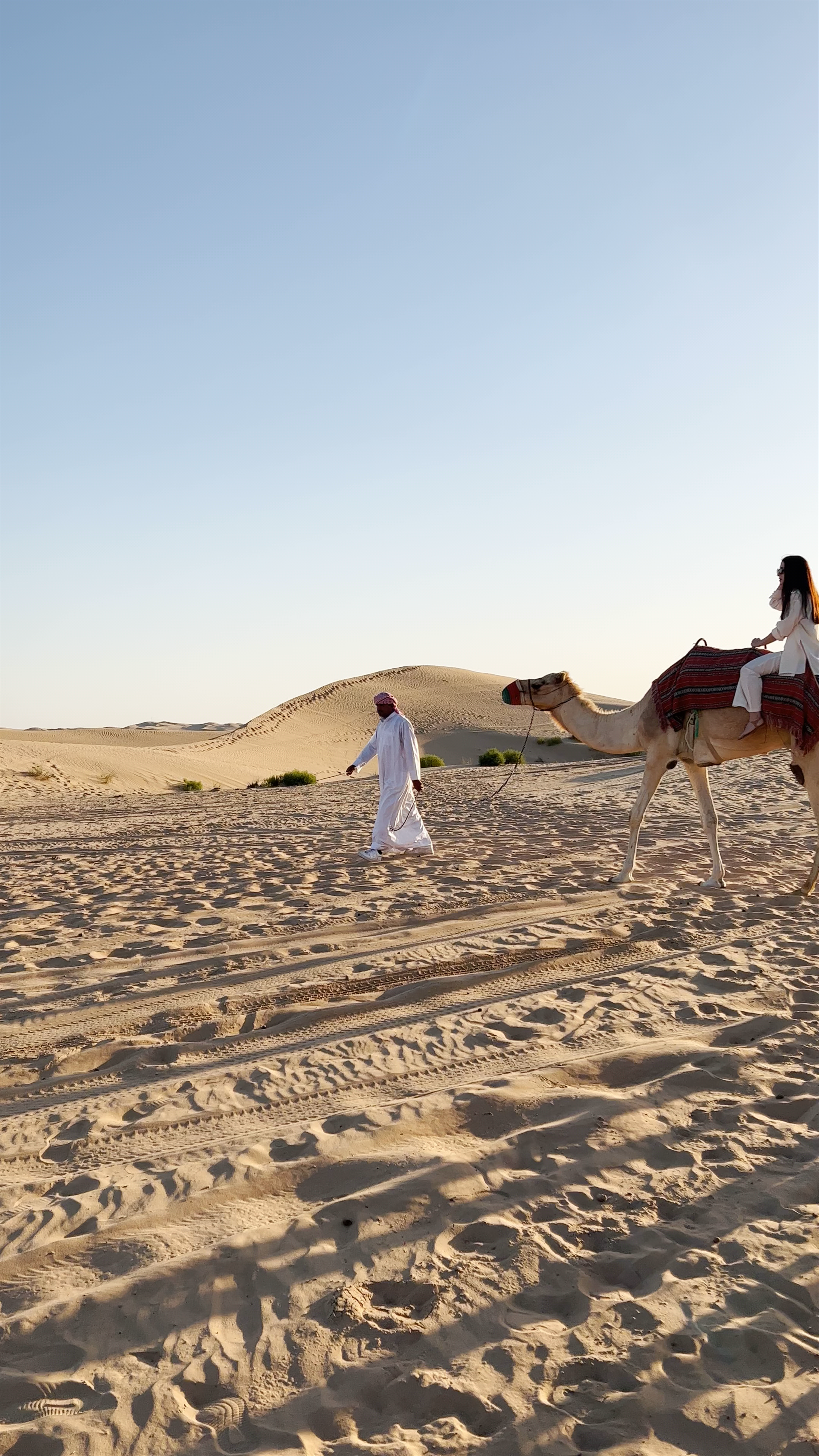 Emirates Tours & Safari LLC - Abu Dhabi - United Arab Emirates