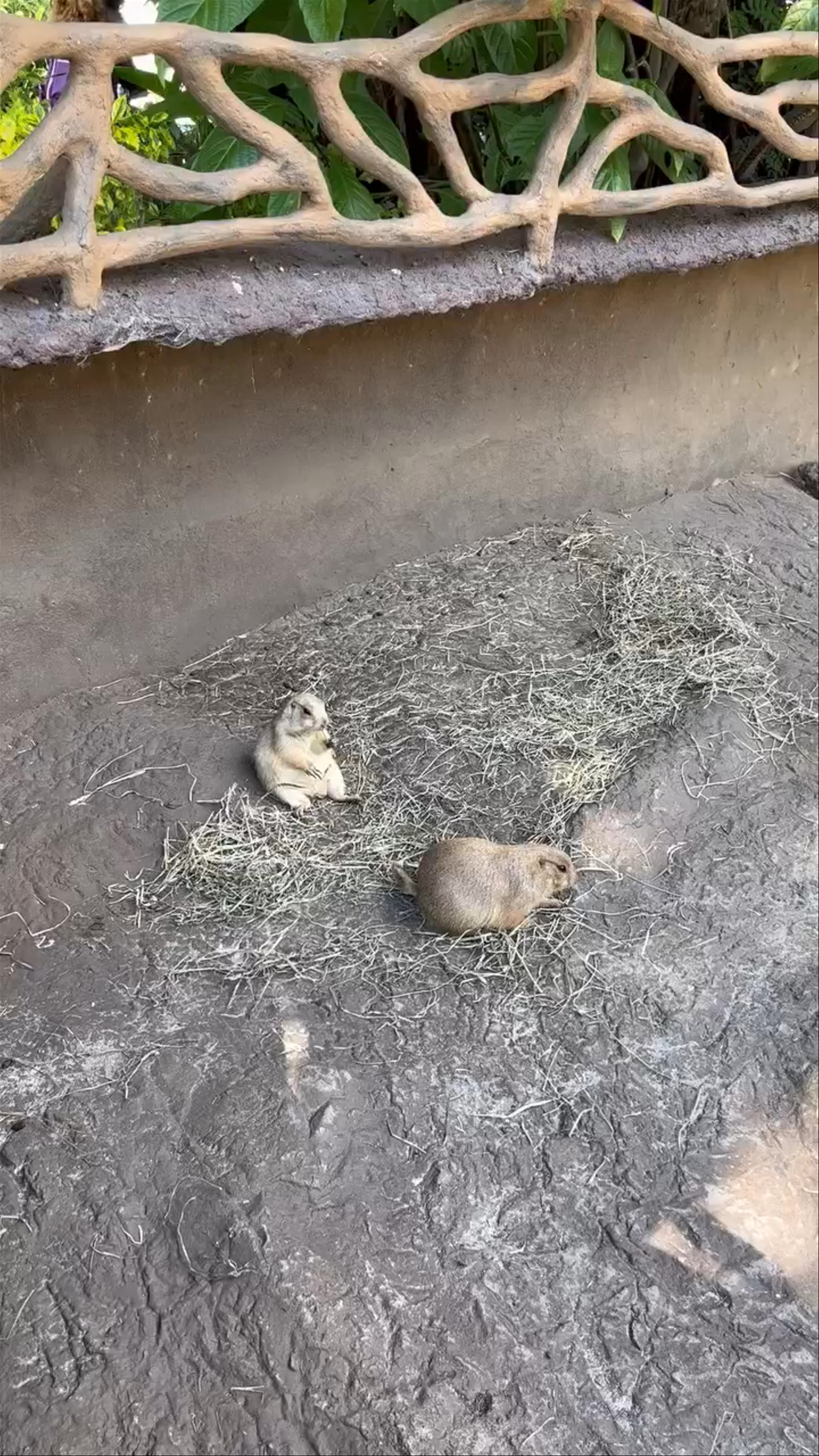 Zoológico La Aurora