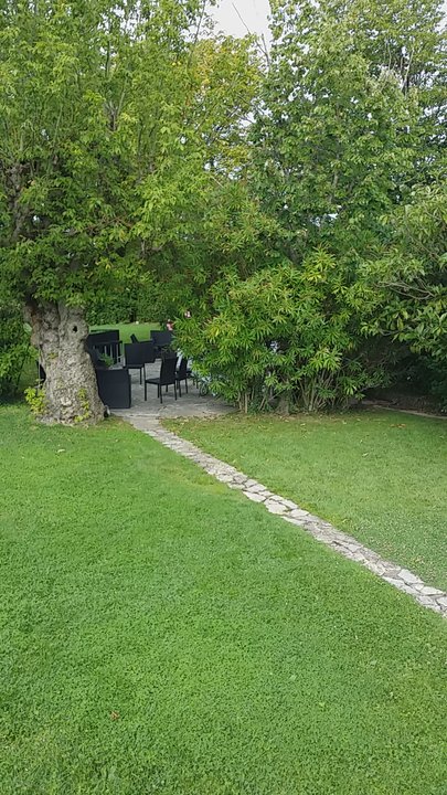 Mas des Aigras - Une partie du jardin, la piscine les transats ainsi qu'une partie de la terrasse - Hotels Near Me - Orange, 84
