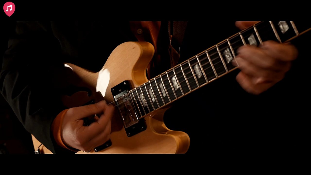 The Plush Echoes - Live Showreel 2025 - video