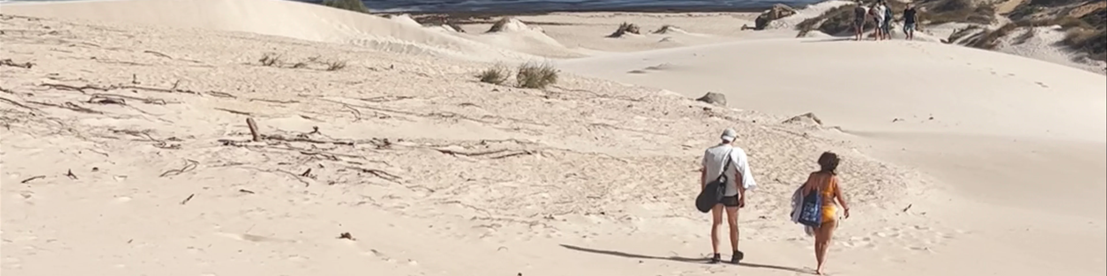Duna de Bolonia