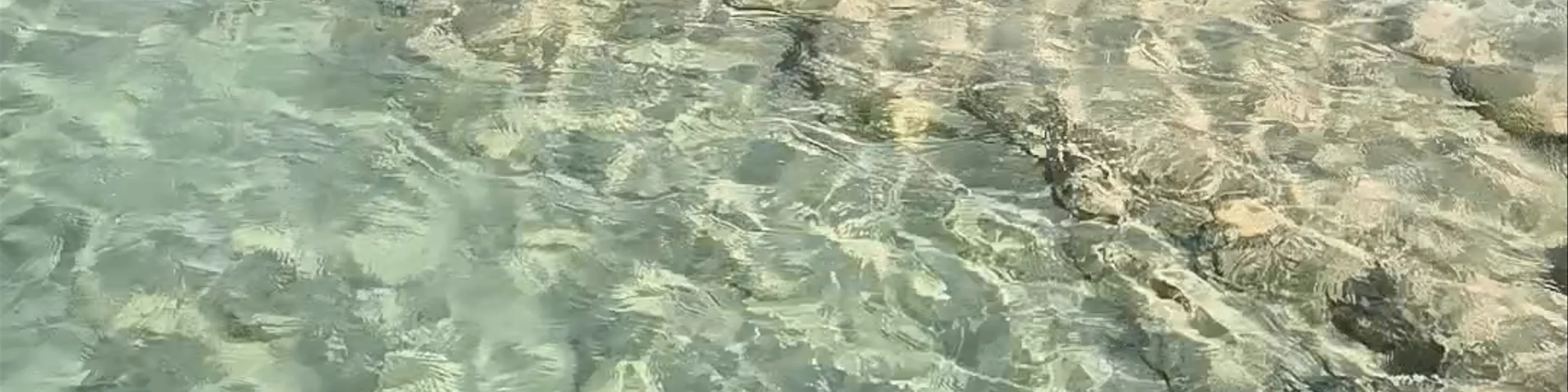 Los Rápidos de Bacalar