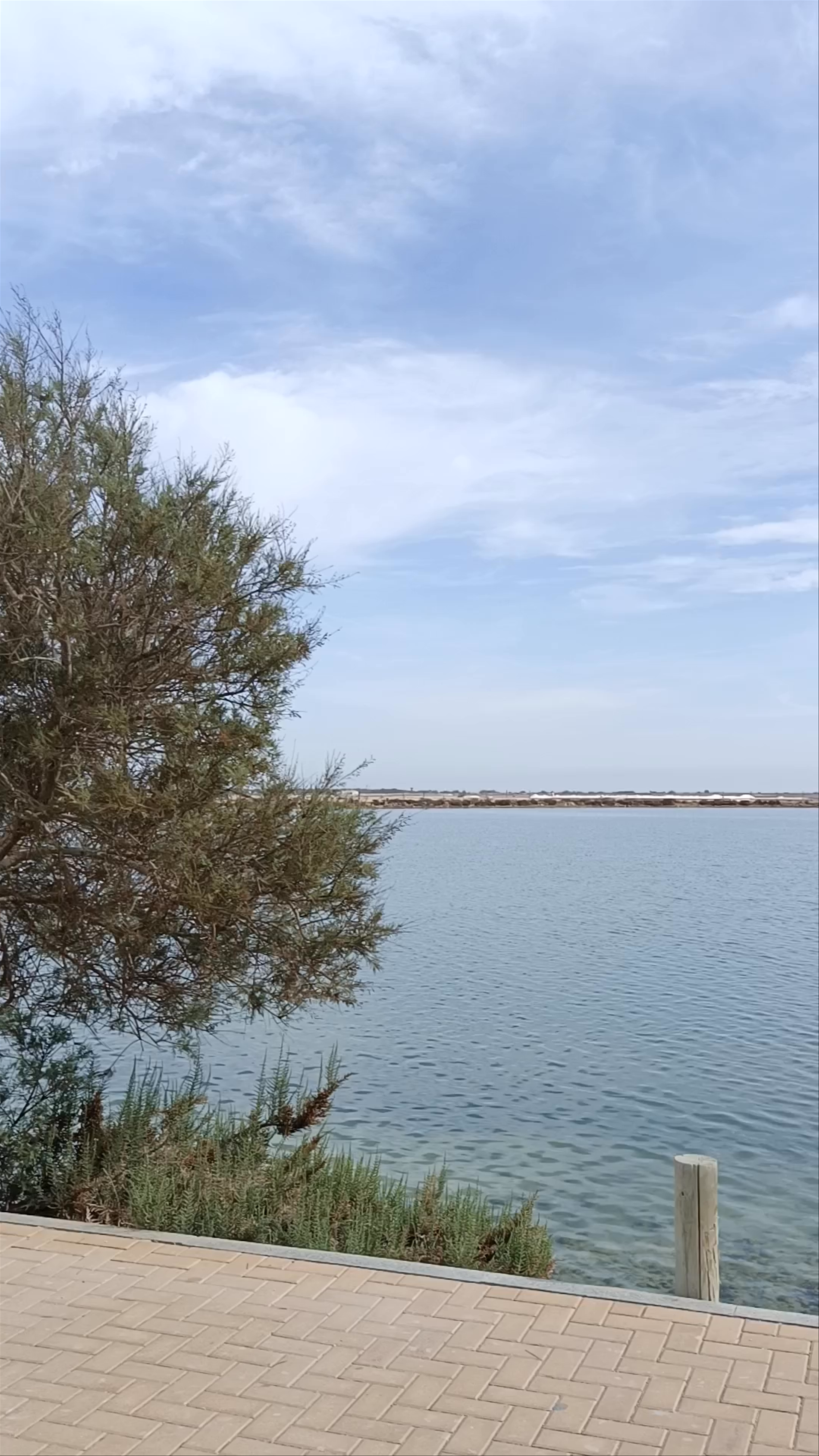 Relaxing Mud Baths and Scenic Waterfront Walk in San Pedro del Pinatar
