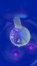 Small image 6