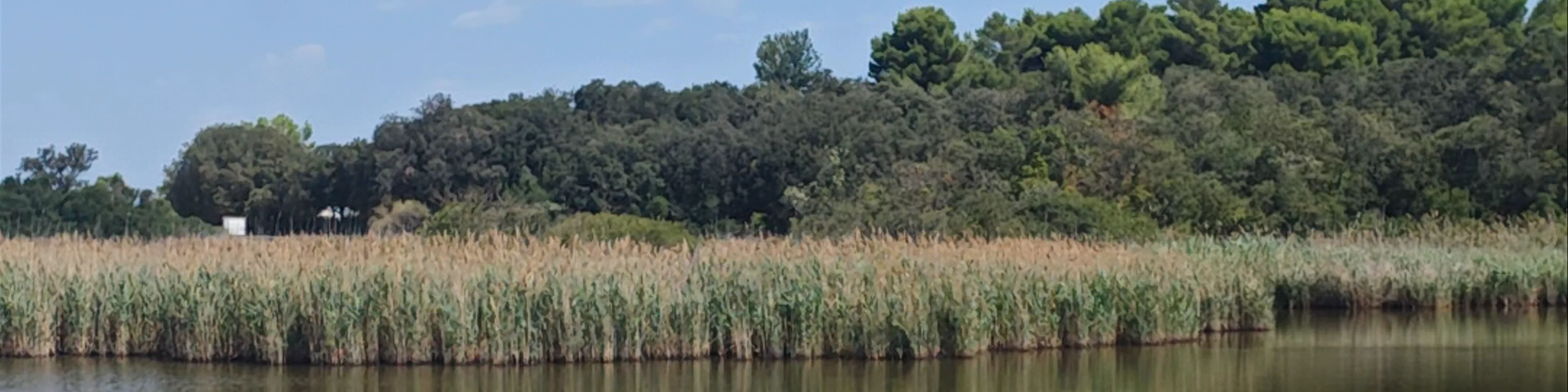 Lago Grande