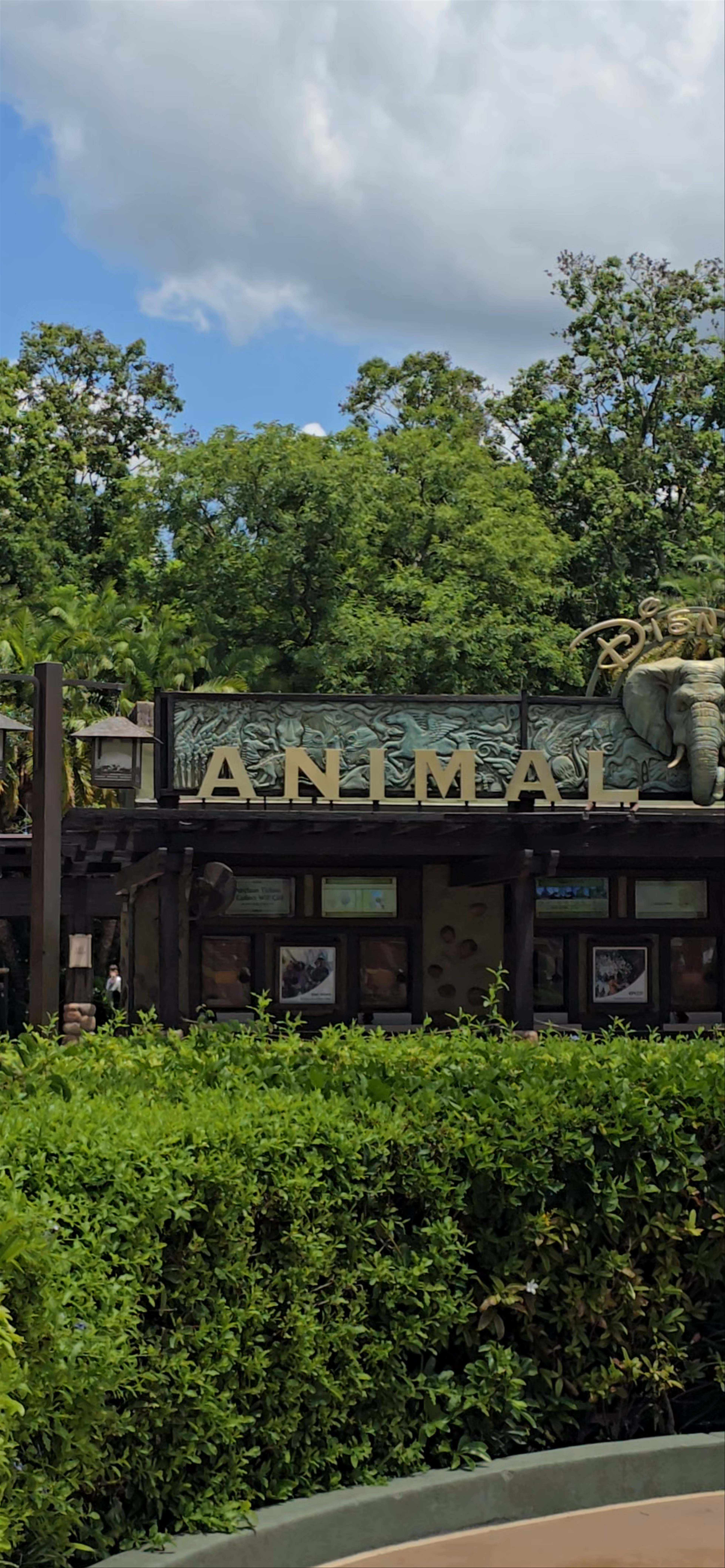 Disney's Animal Kingdom Theme Park