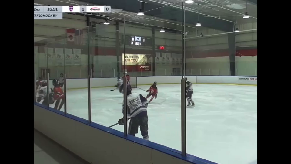 Jan Hanzlík: U17 Left Defenseman with Scoring Flair