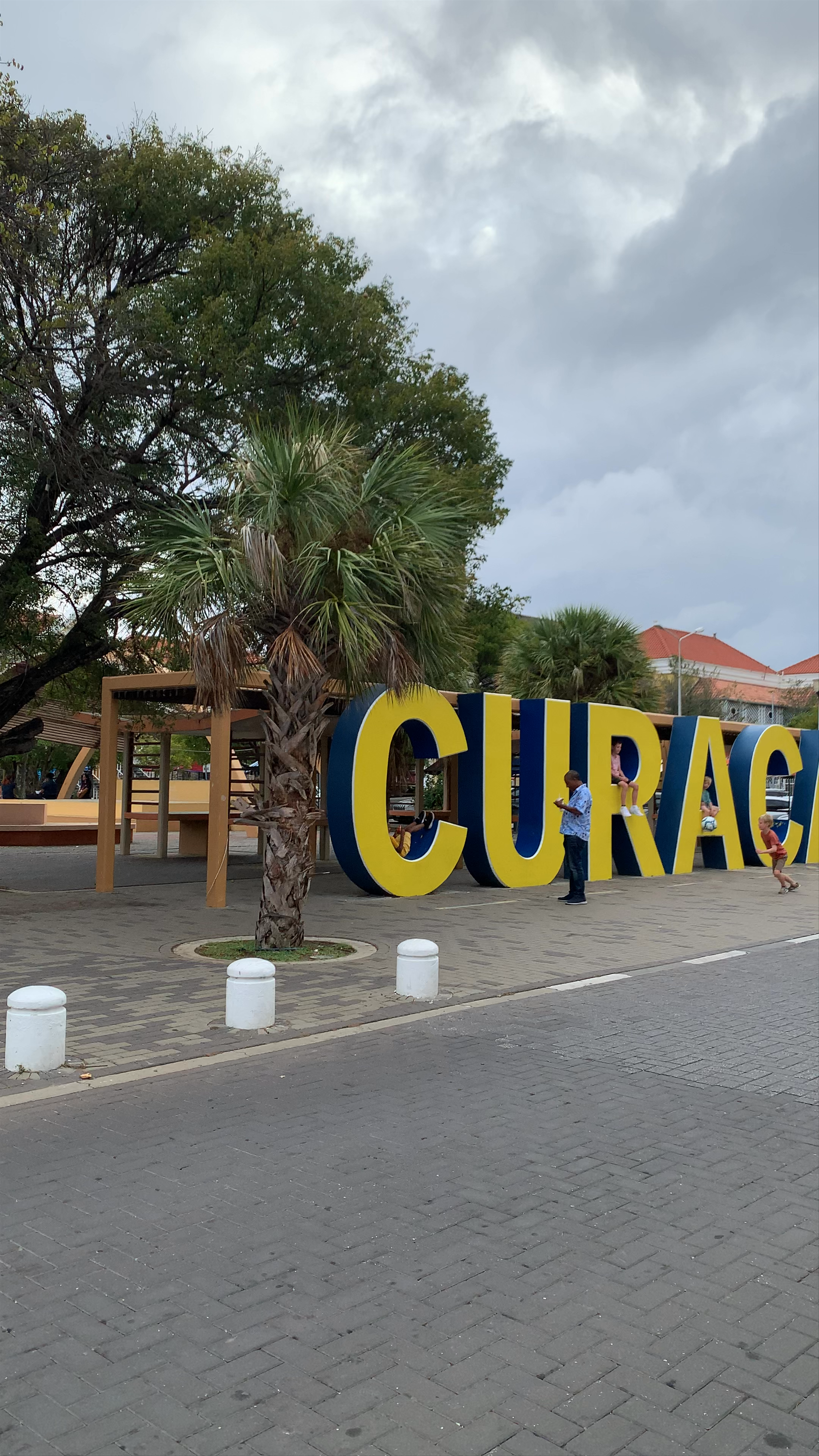 The Swinging Old Lady